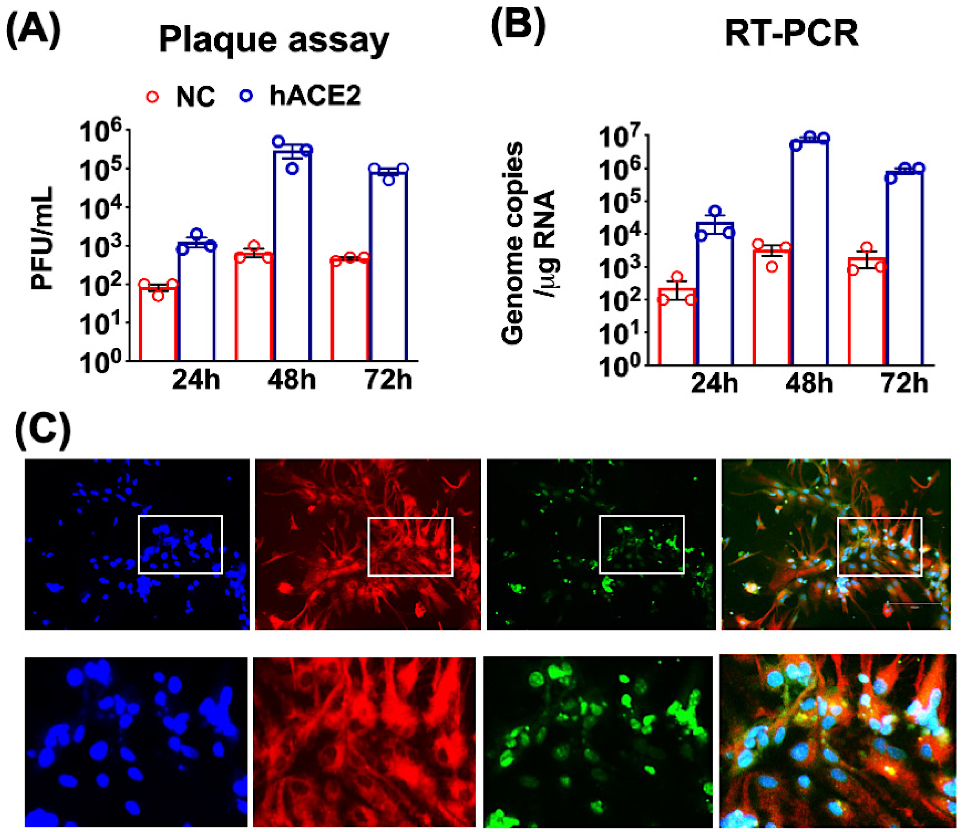 Pathogens 11 00257 g001