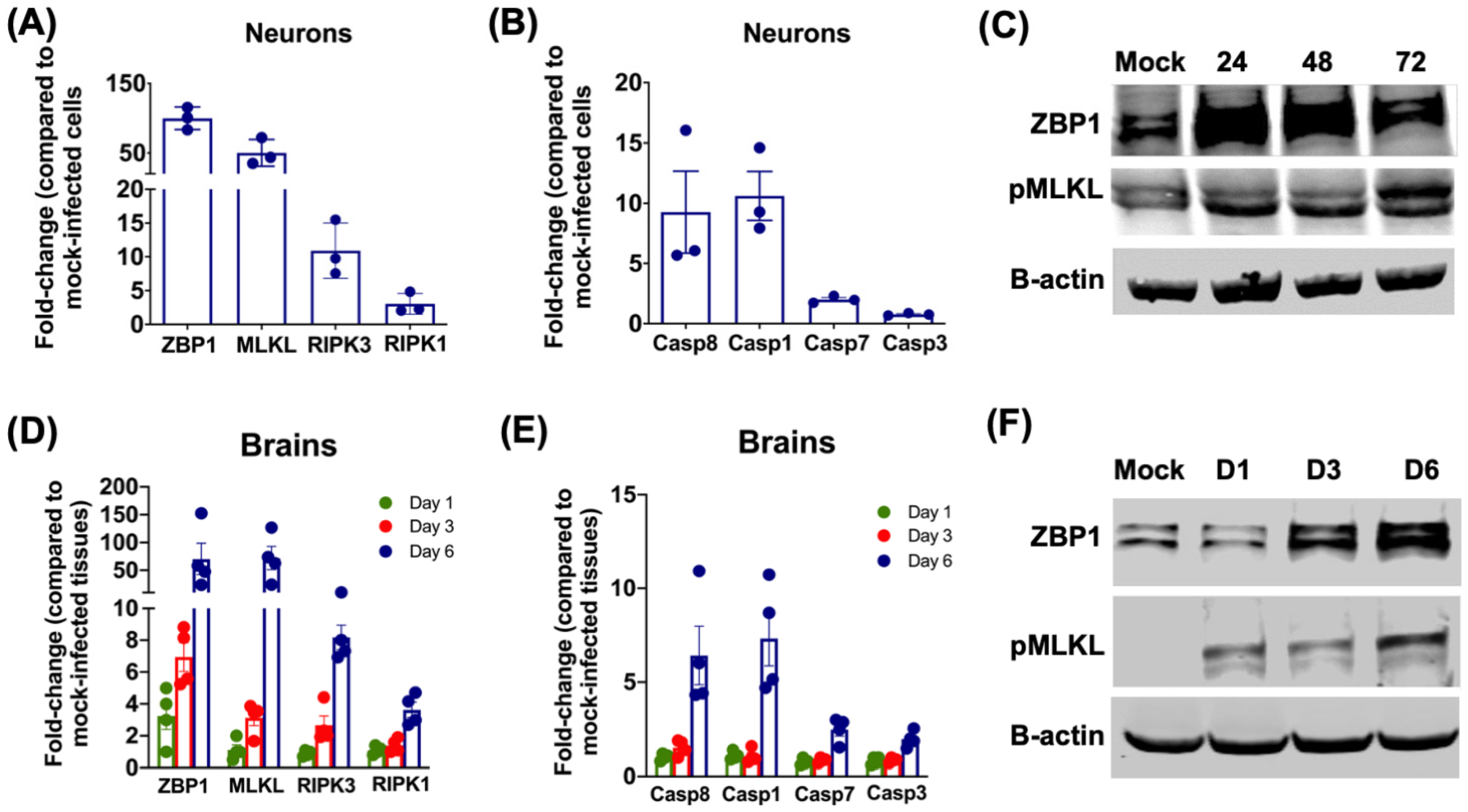 Pathogens 11 00257 g004