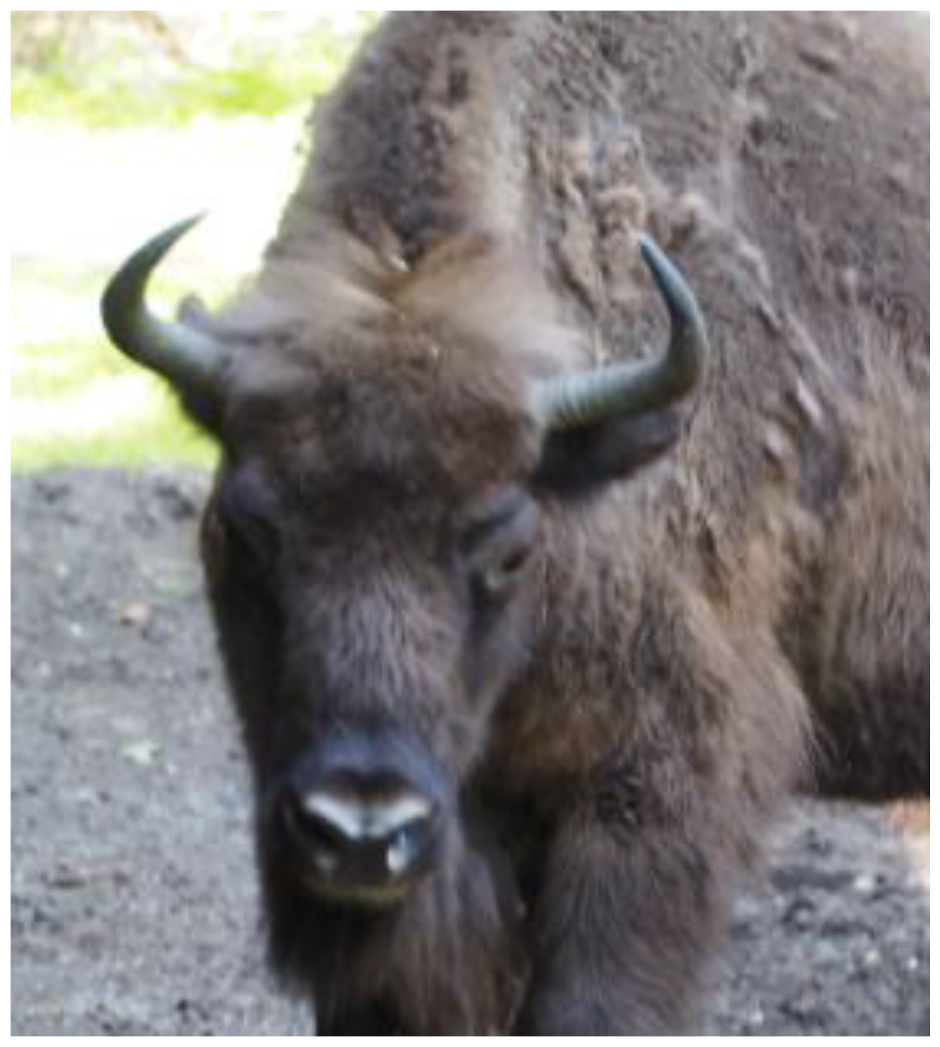 Pathogens 11 00260 g001