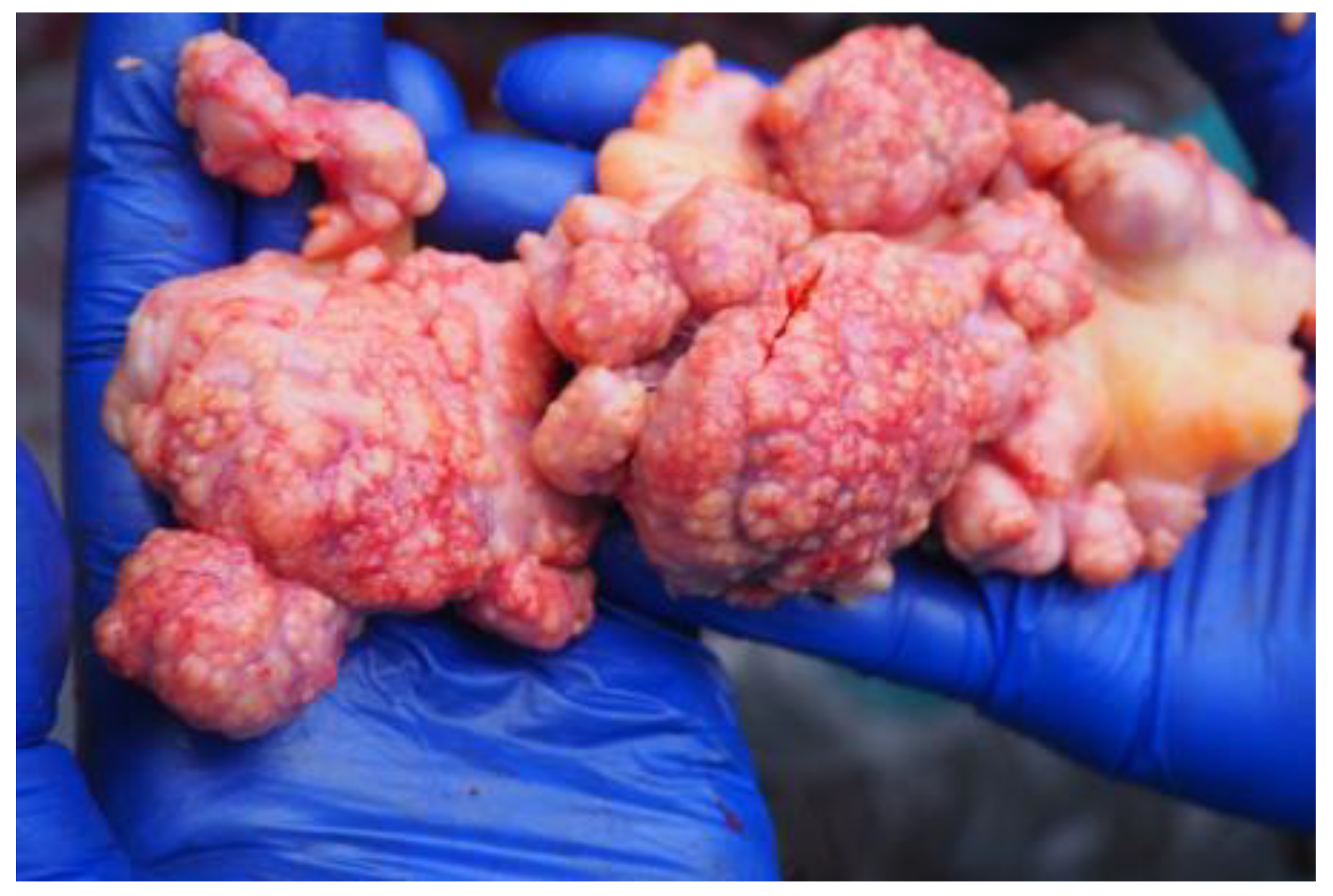 Pathogens 11 00260 g002