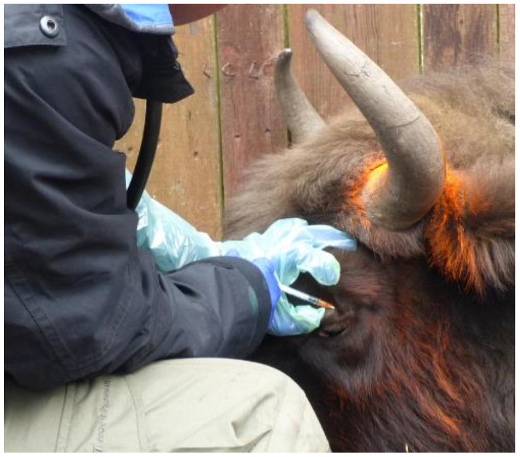 Pathogens 11 00260 g003