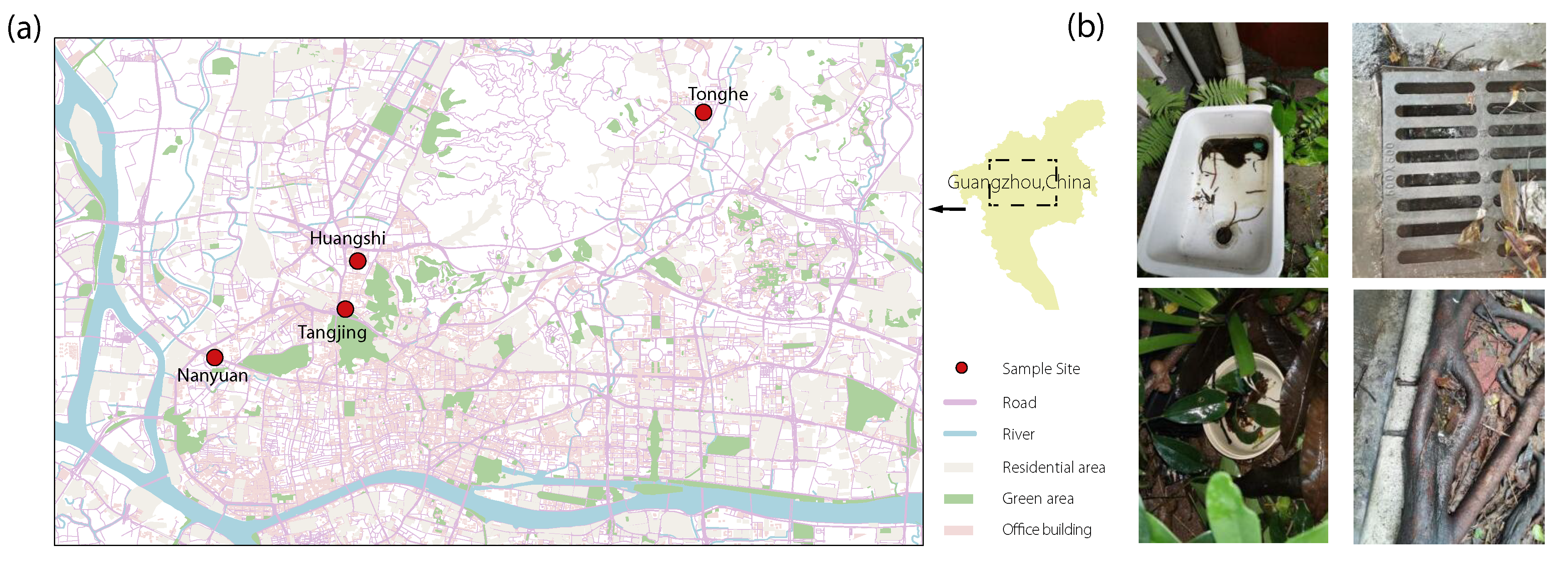 Pathogens 11 00262 g003