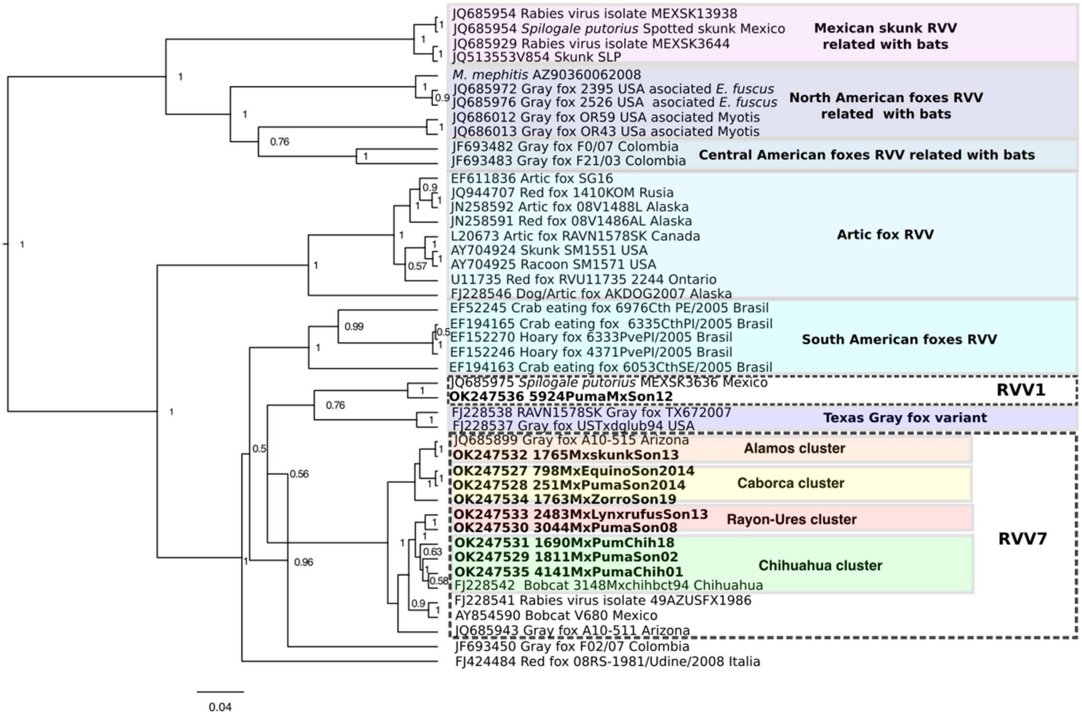 Pathogens 11 00265 g001