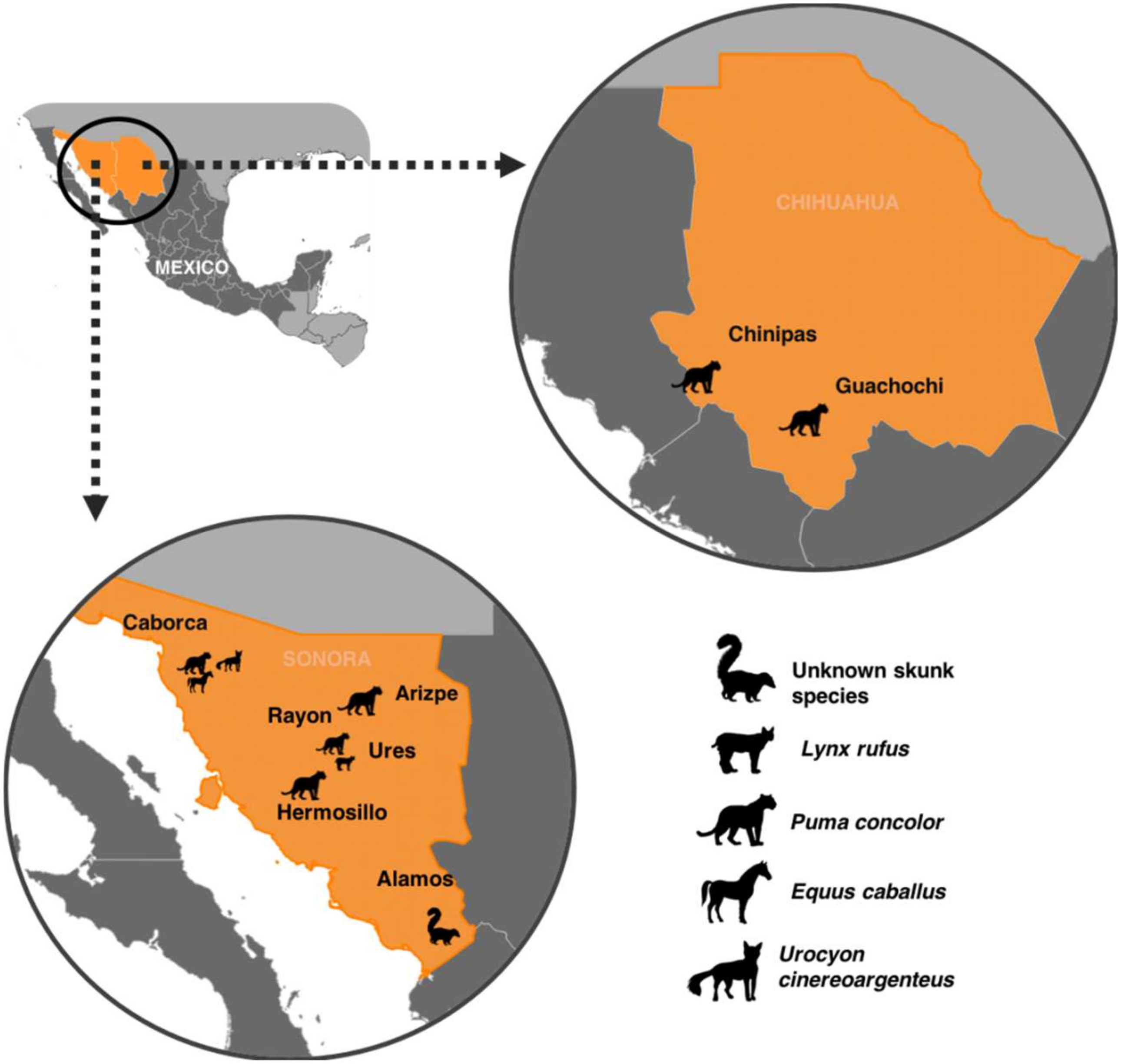 Pathogens 11 00265 g002