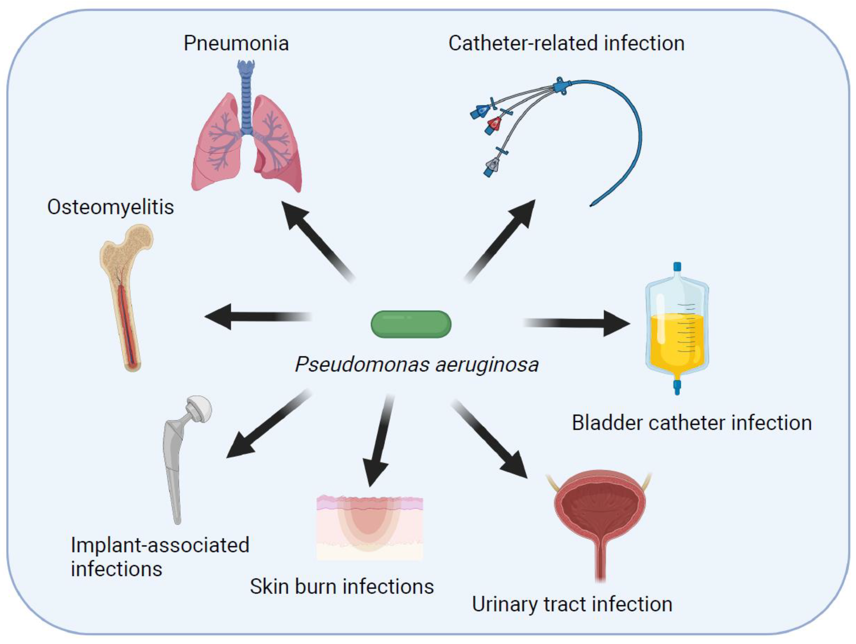 Pathogens 11 00300 g001