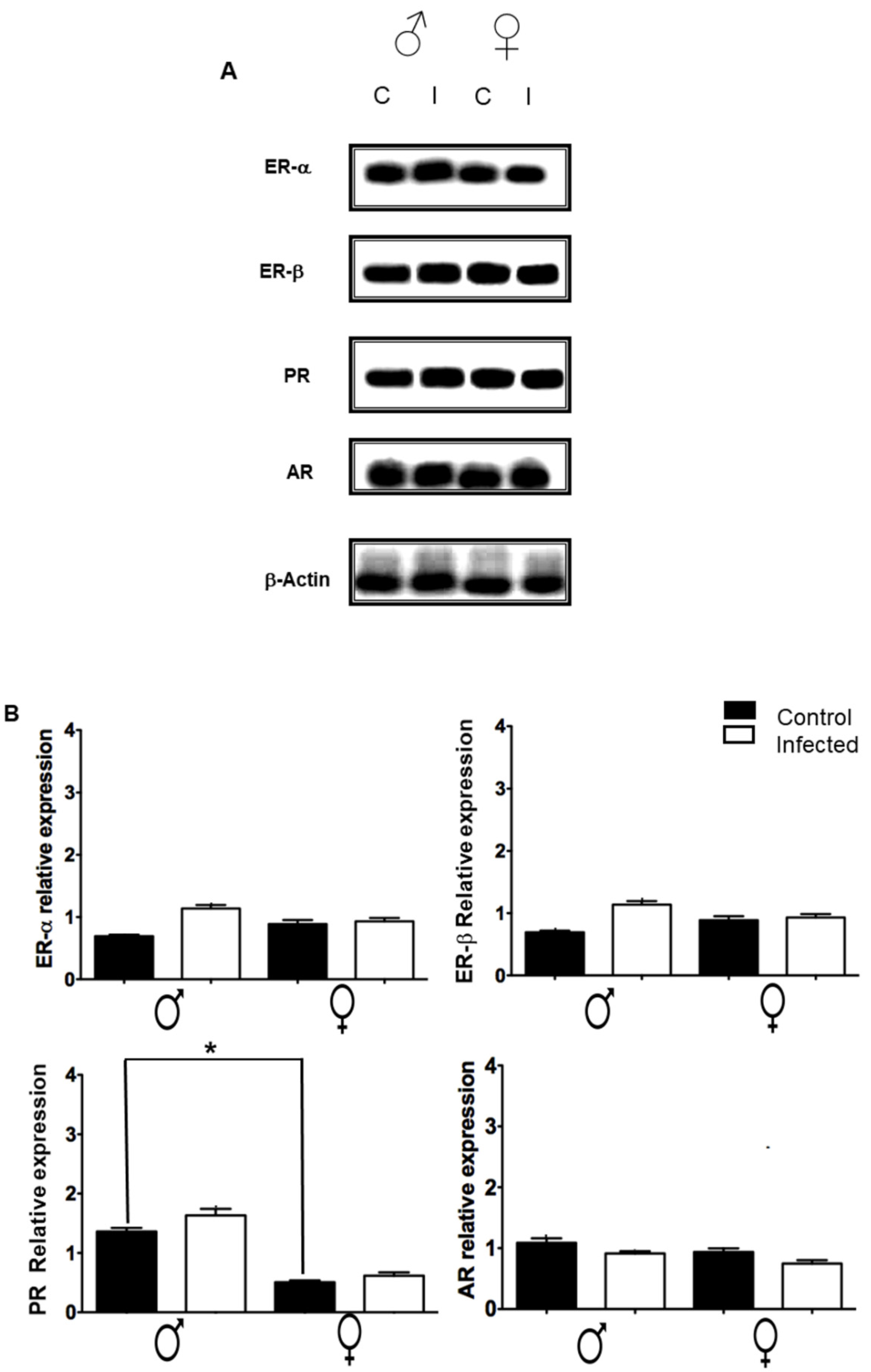 Pathogens 11 00308 g006