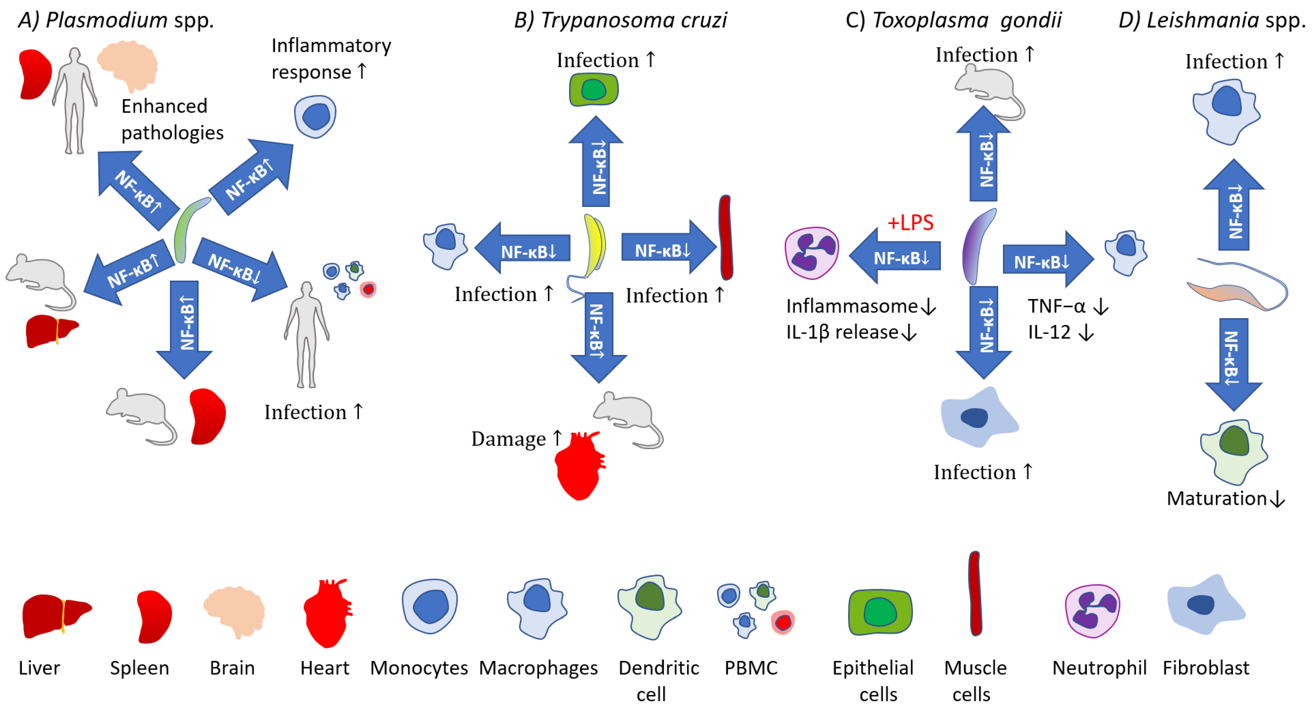 Pathogens 11 00310 g002