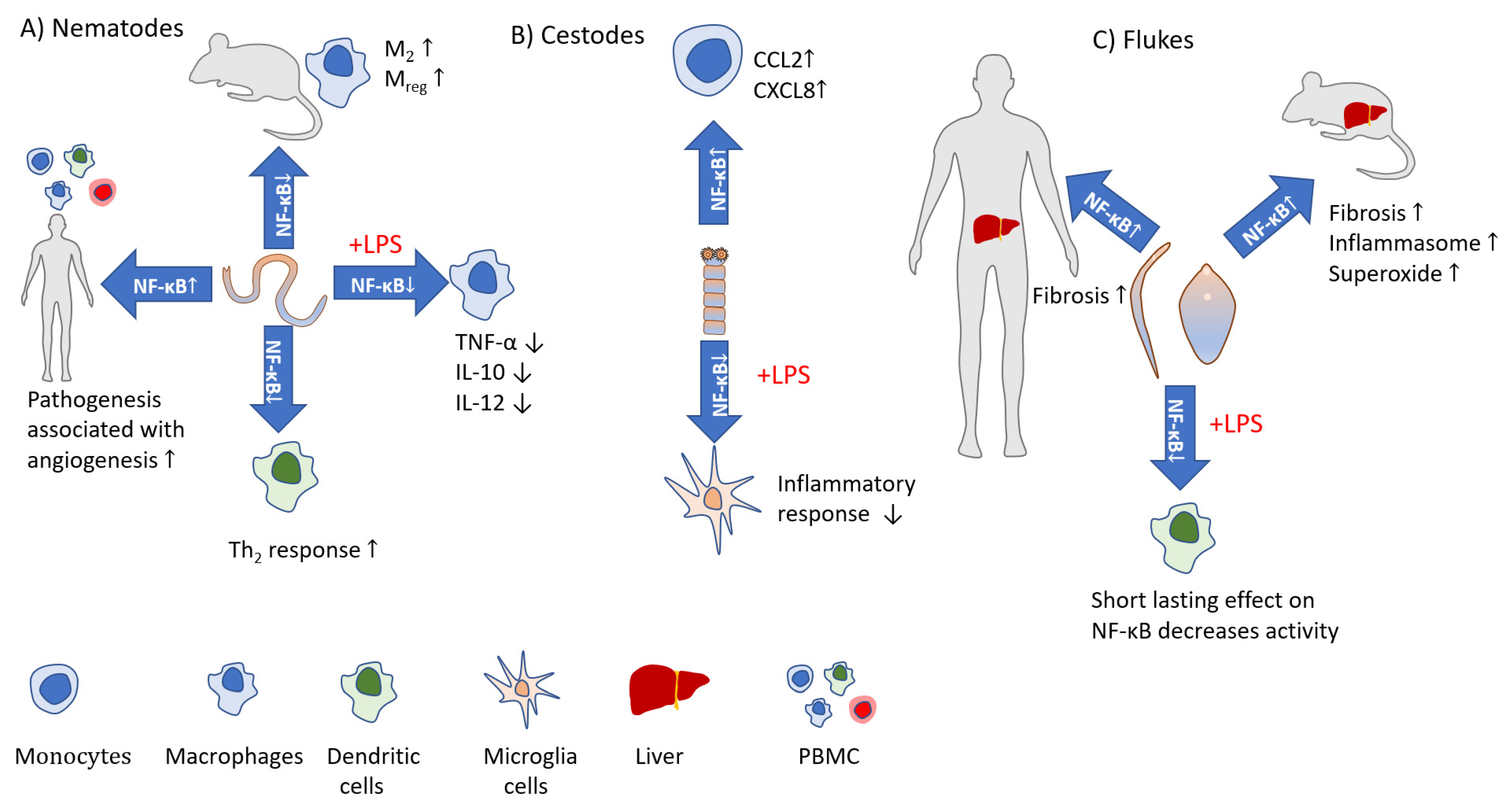 Pathogens 11 00310 g003