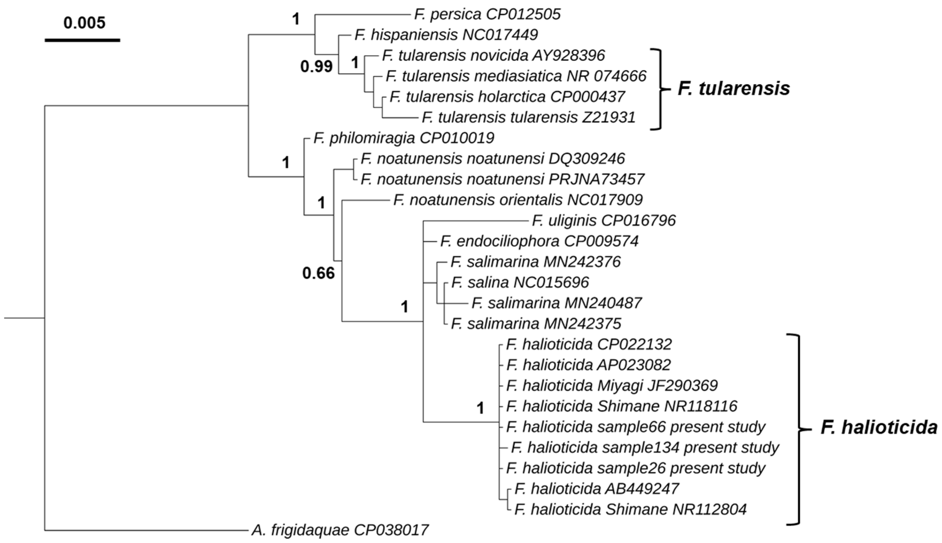 Pathogens 11 00329 g002