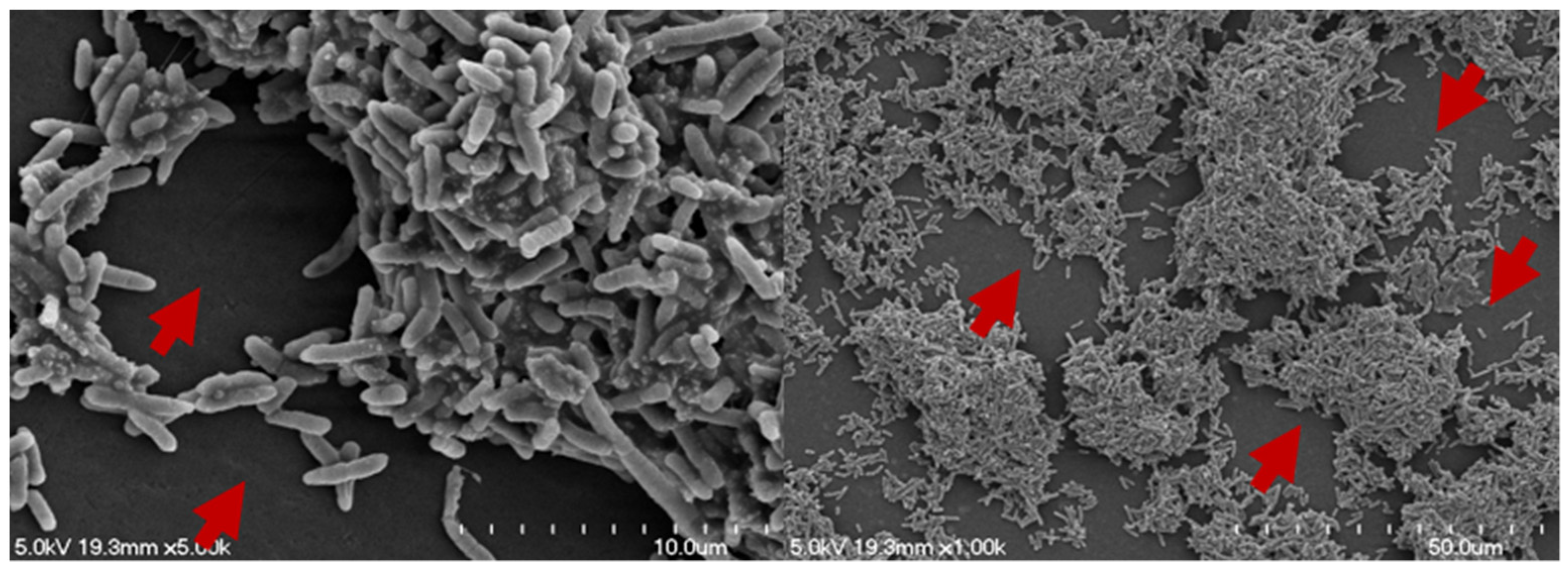 Pathogens 11 00346 g003