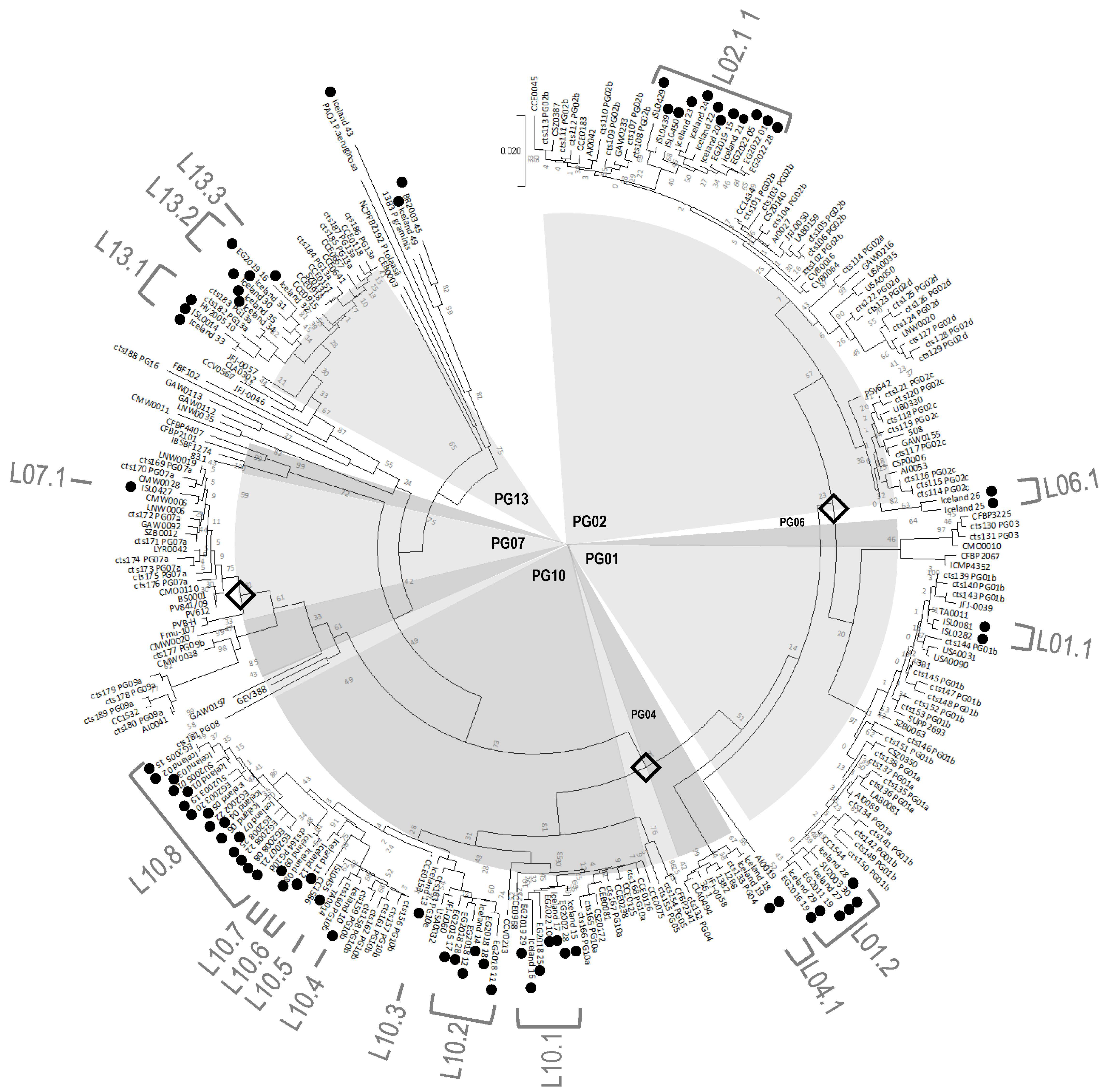 Pathogens 11 00357 g002