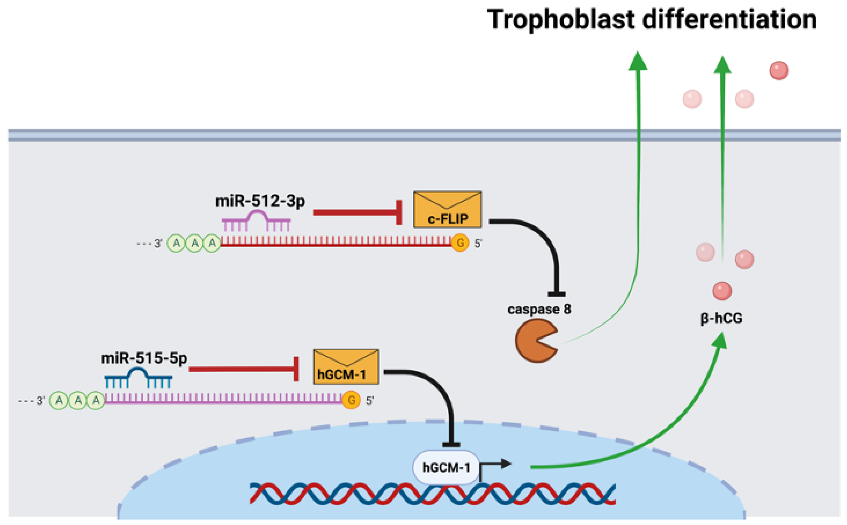 Pathogens 11 00361 g001