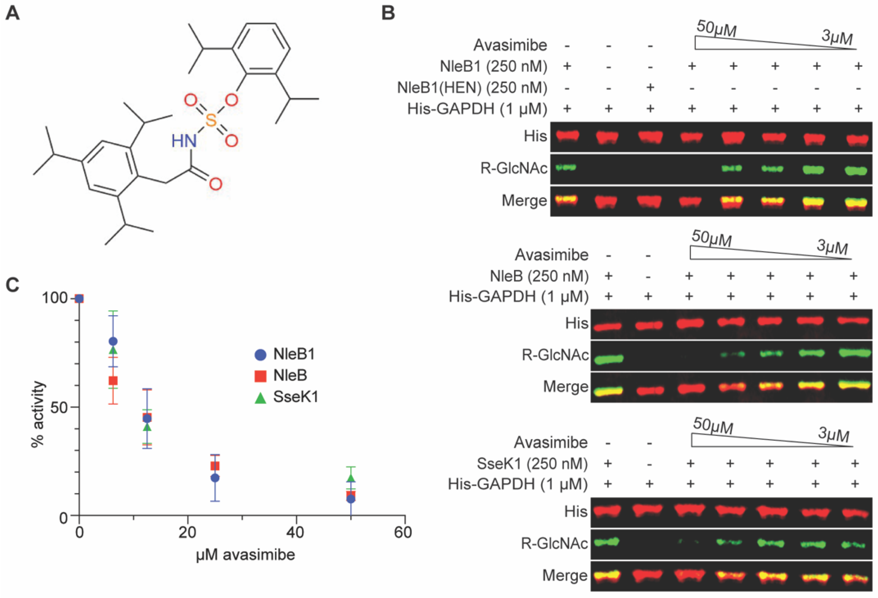 Pathogens 11 00370 g001