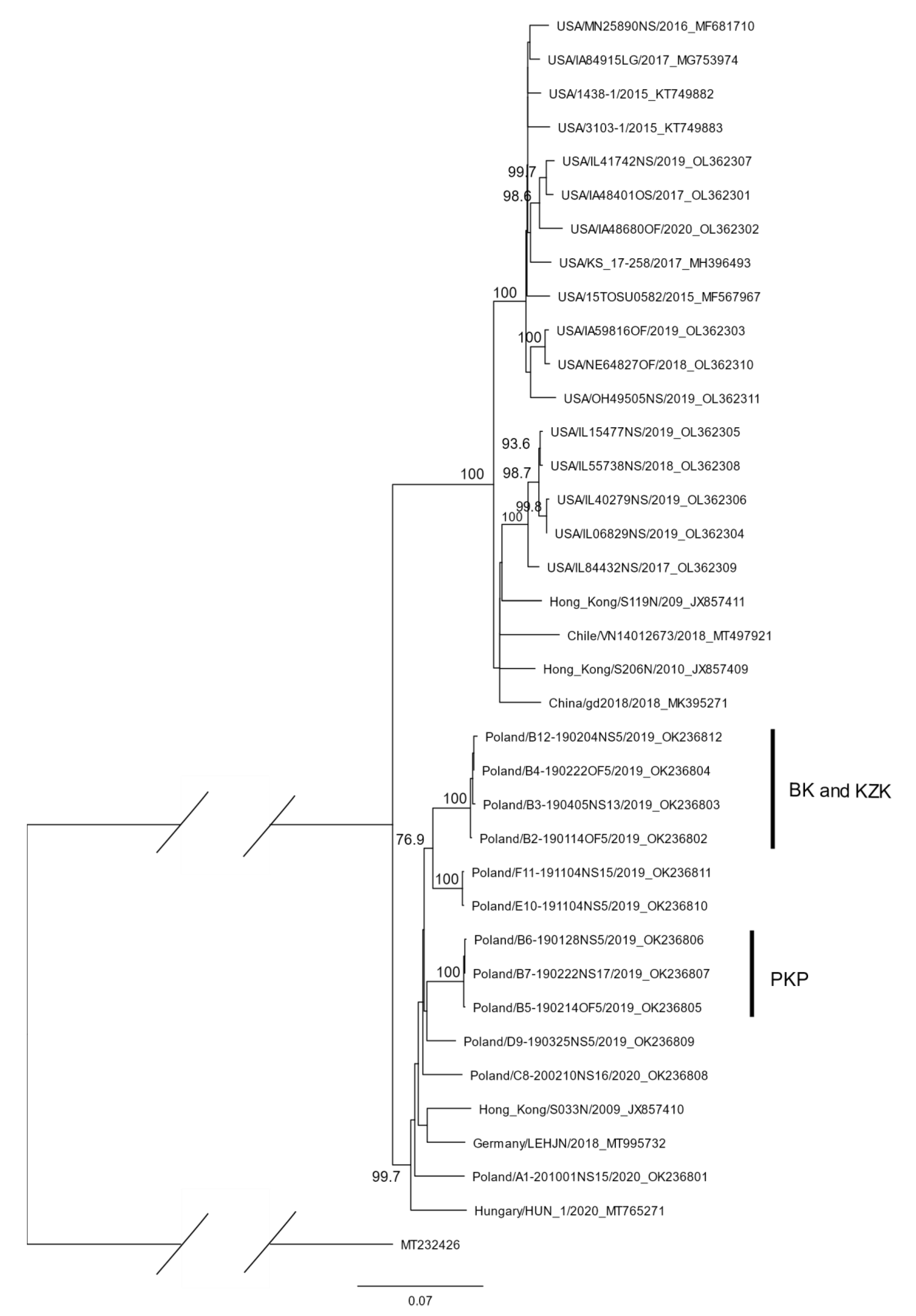 Pathogens 11 00375 g001 Pathogens 11 00375 g001