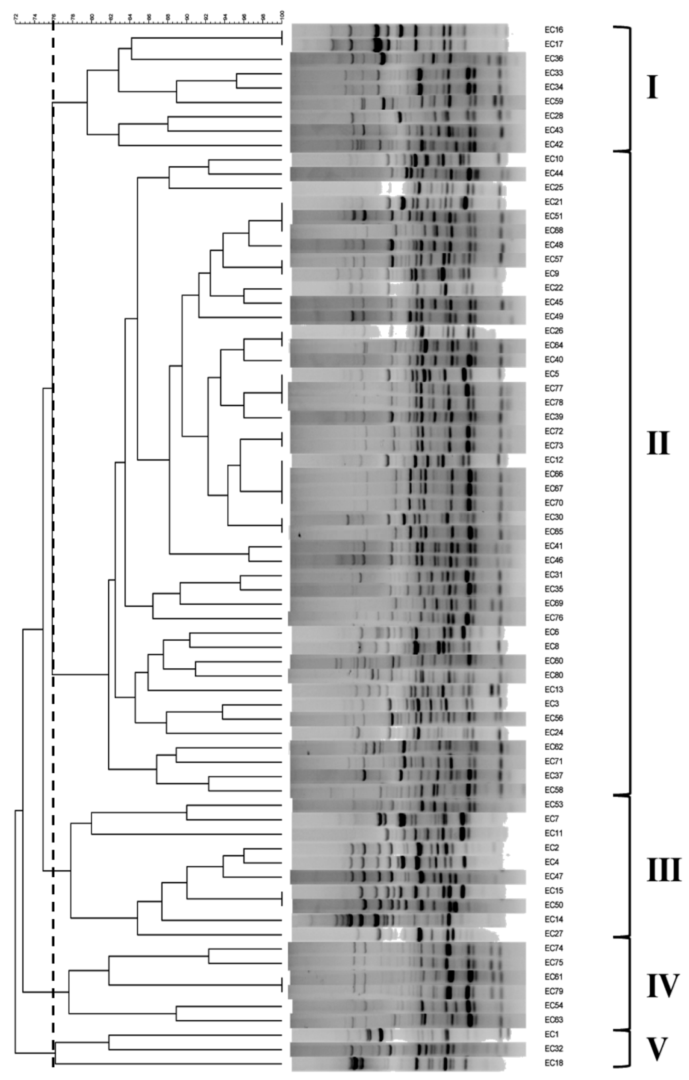 Pathogens 11 00385 g001
