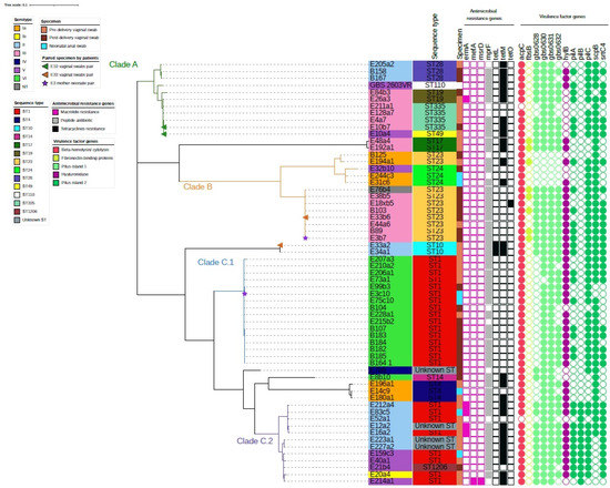Pathogens 11 00386 g001 550