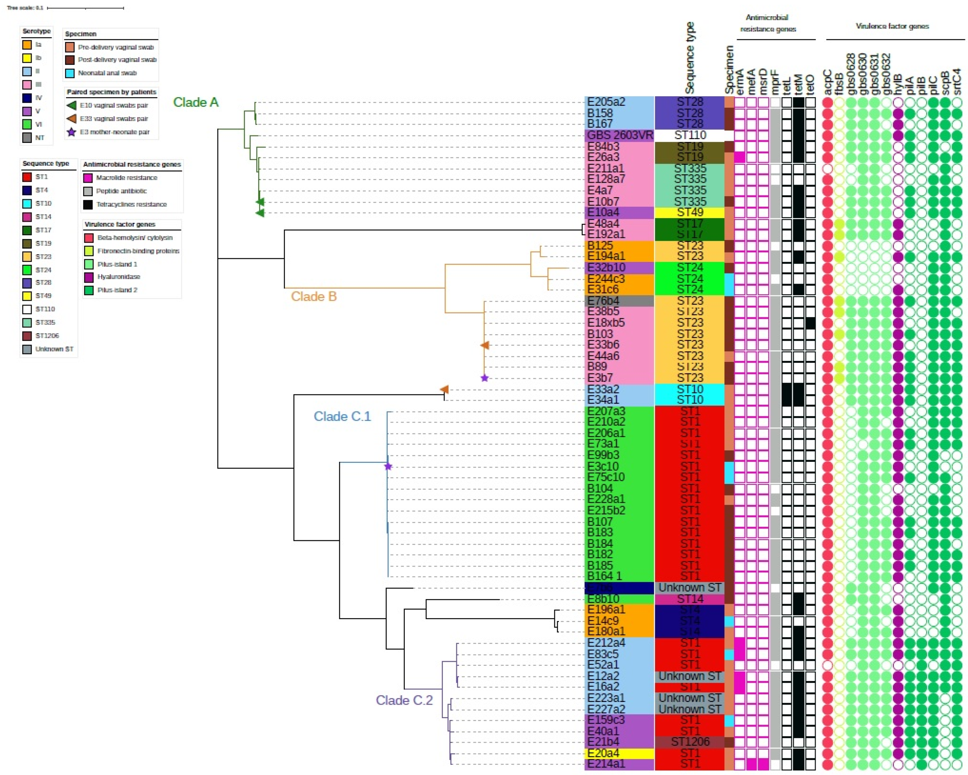 Pathogens 11 00386 g001