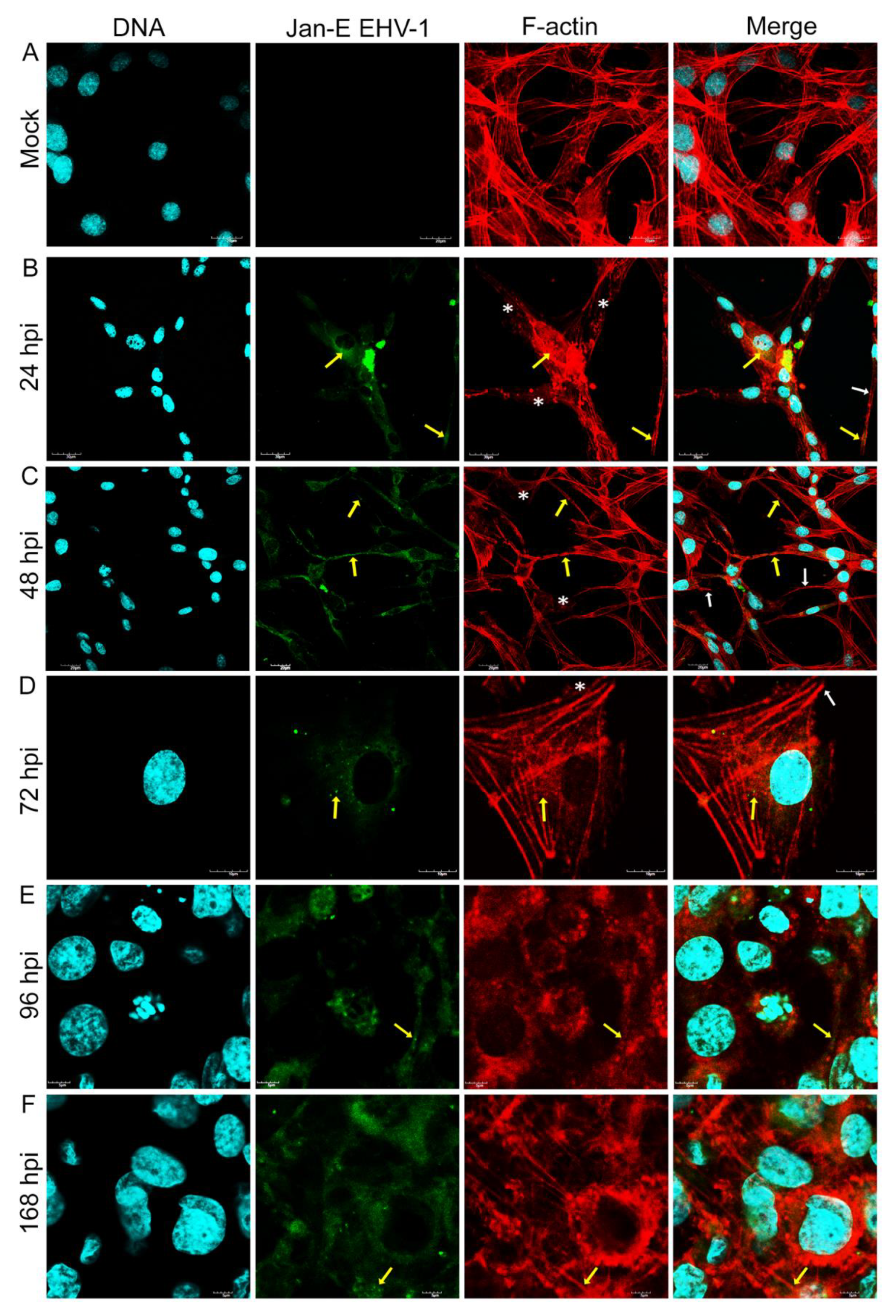 Pathogens 11 00400 g002