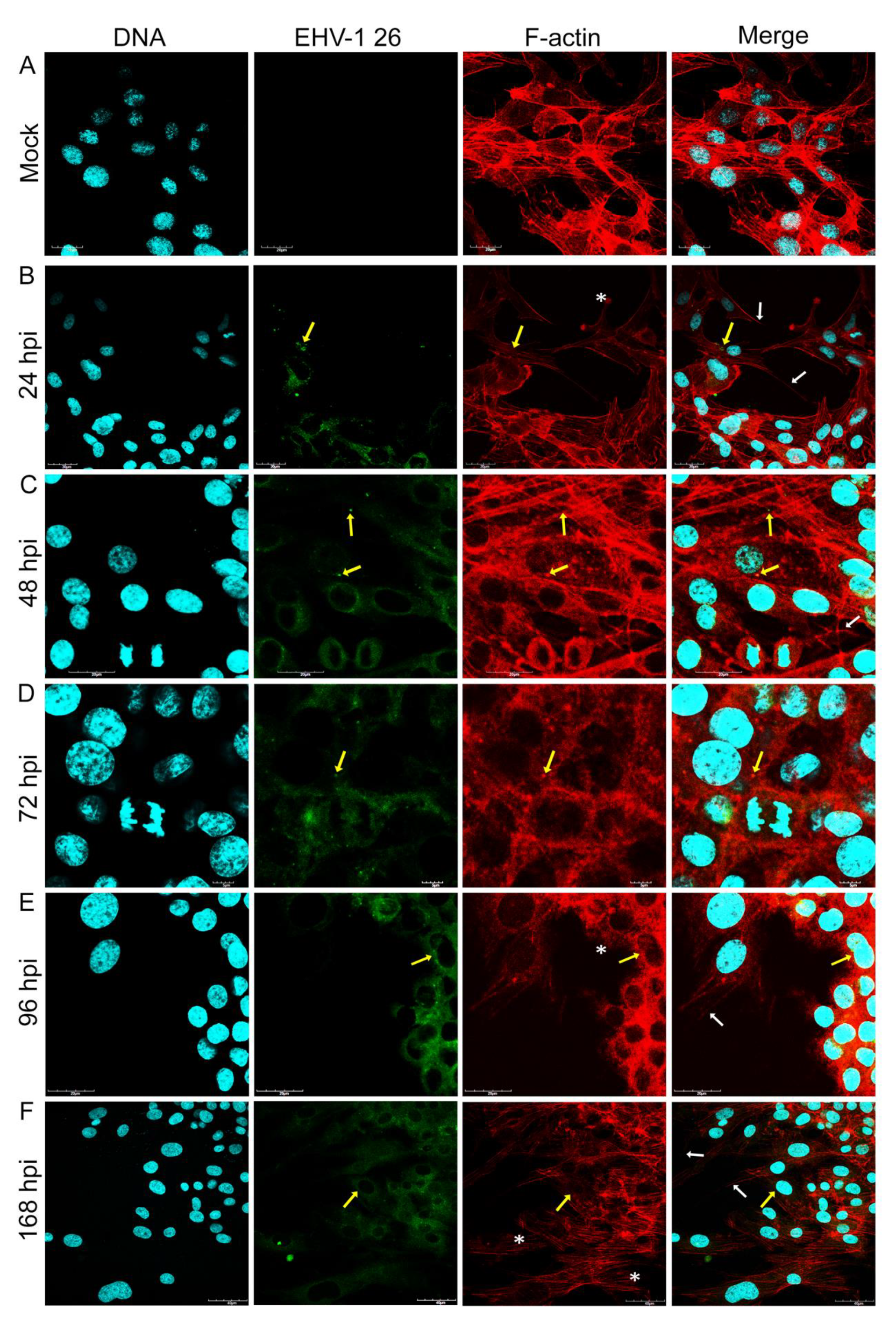 Pathogens 11 00400 g004