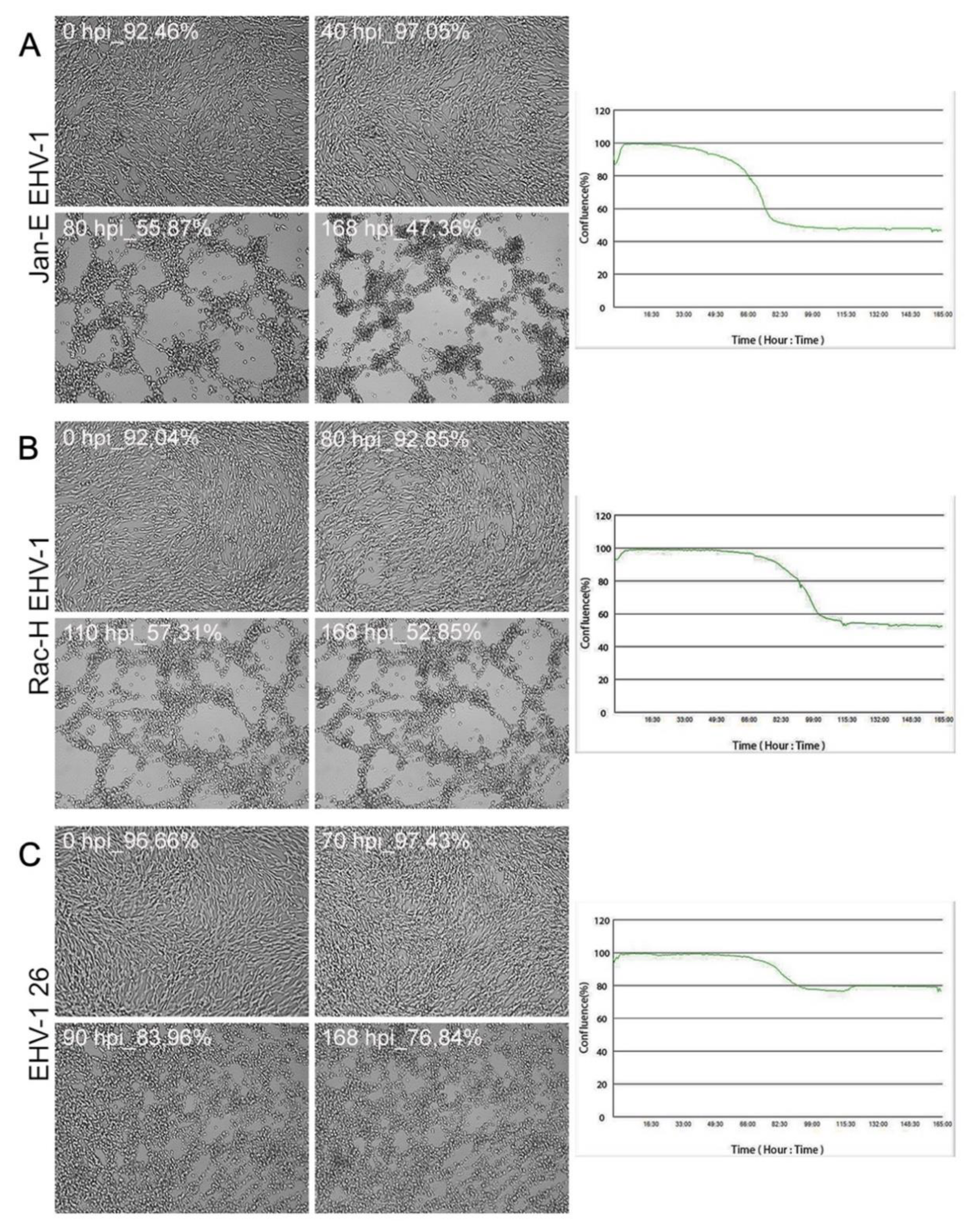 Pathogens 11 00400 g006