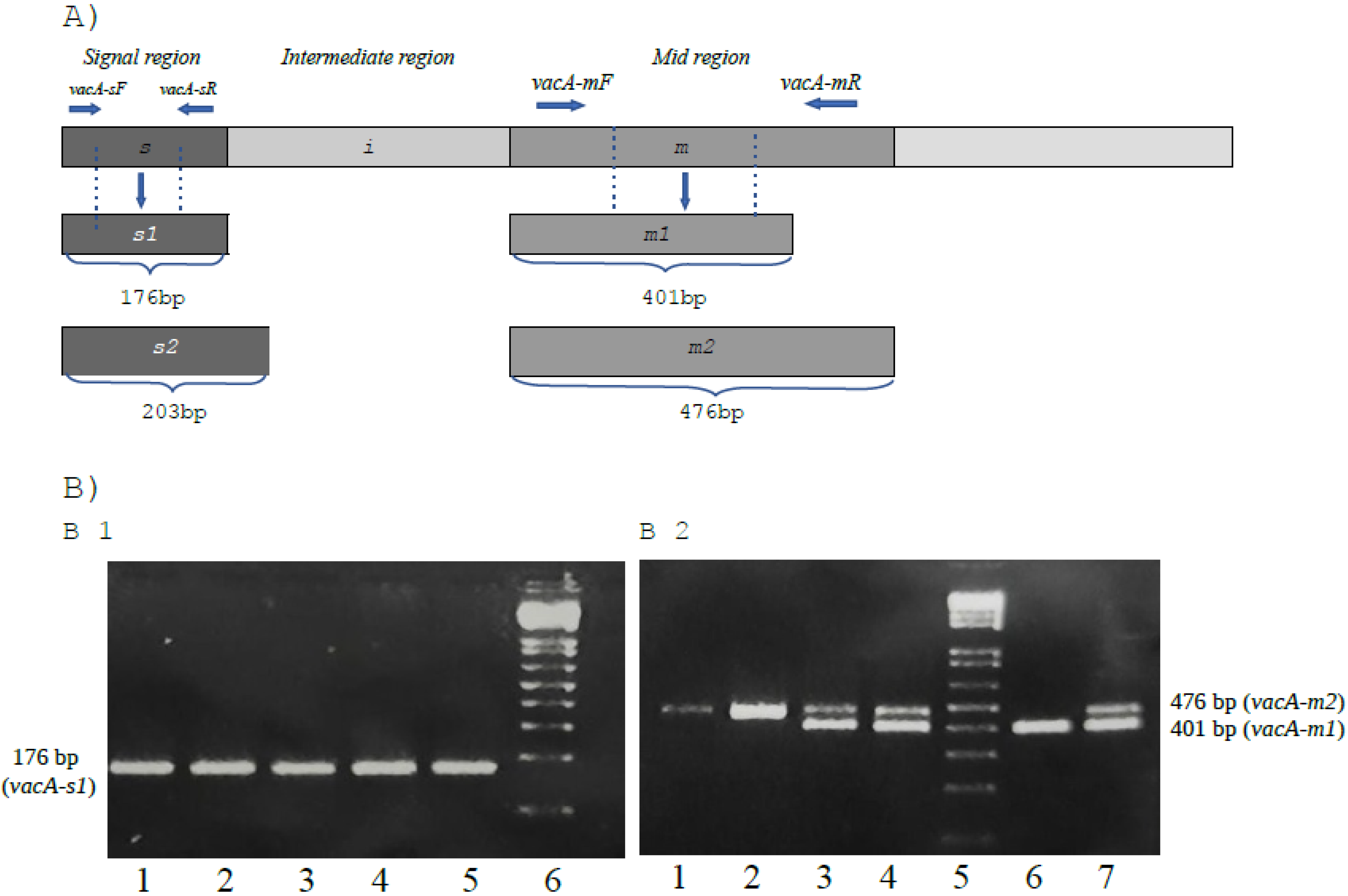 Pathogens 11 00414 g001