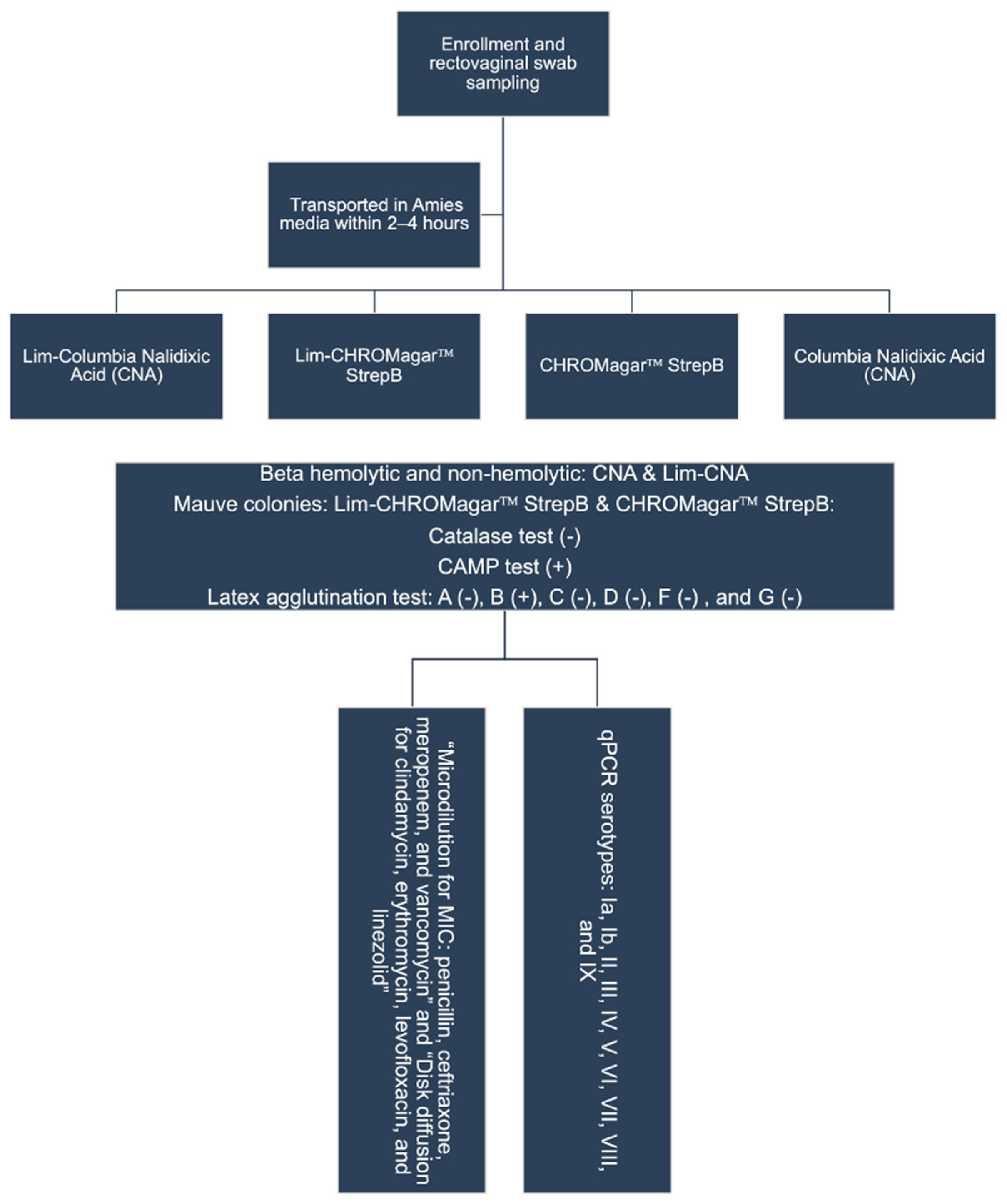 Pathogens 11 00415 g003