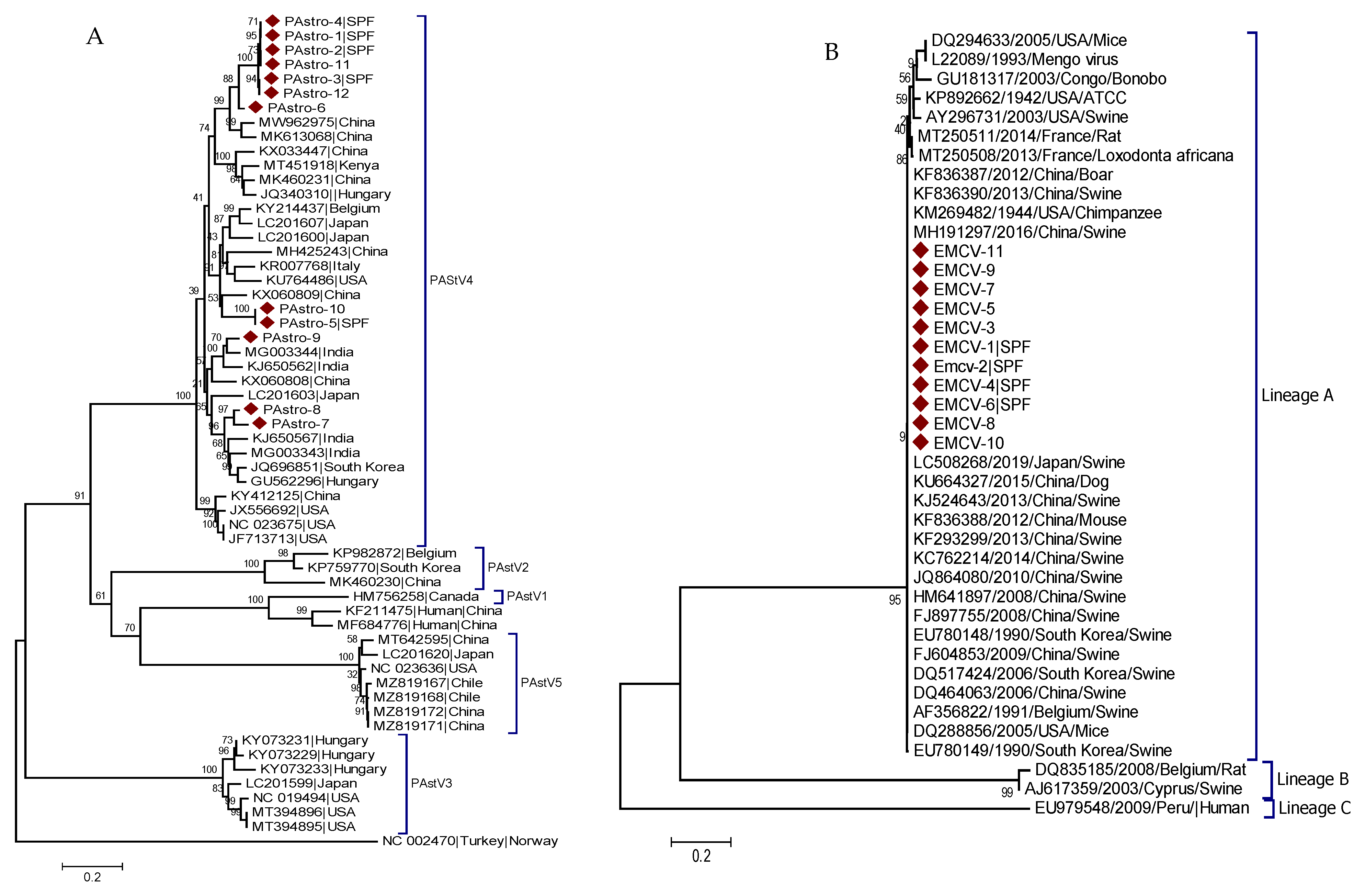 Pathogens 11 00417 g003a