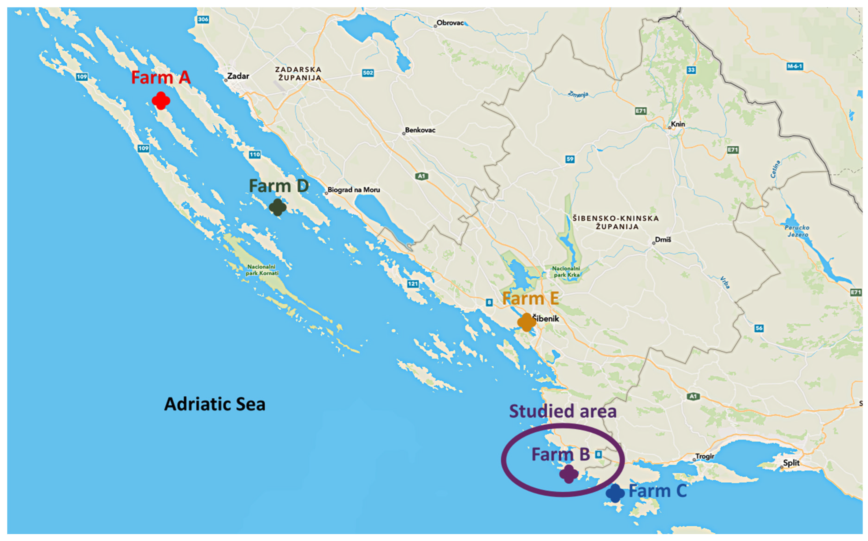 Pathogens 11 00418 g001