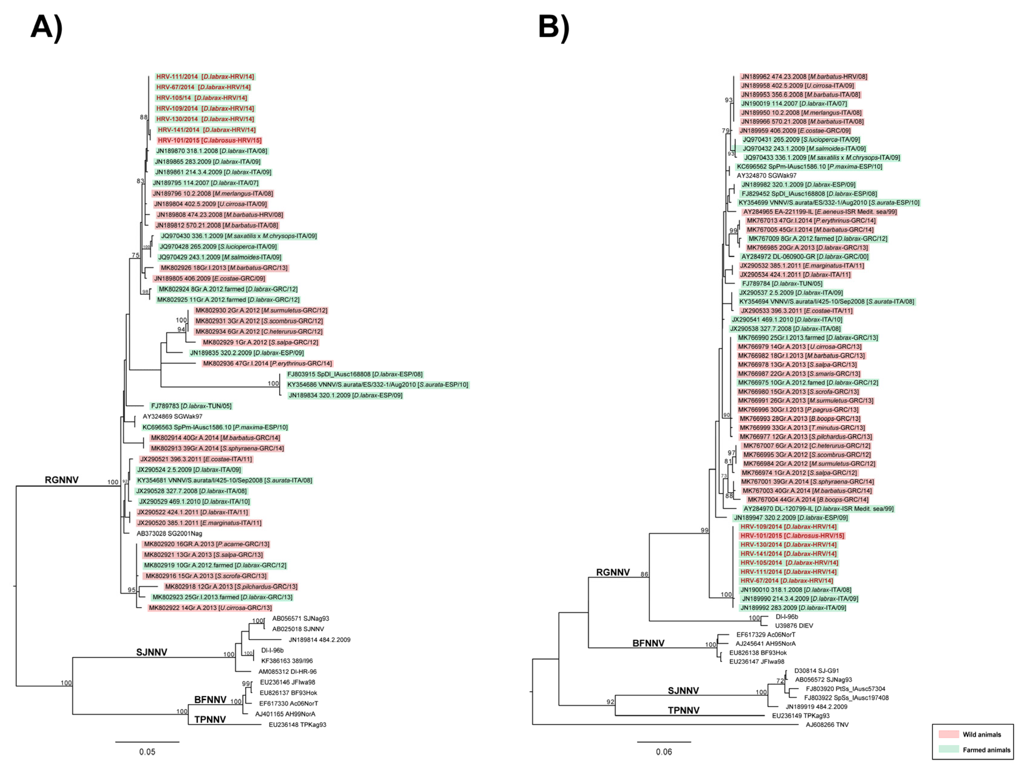 Pathogens 11 00418 g004