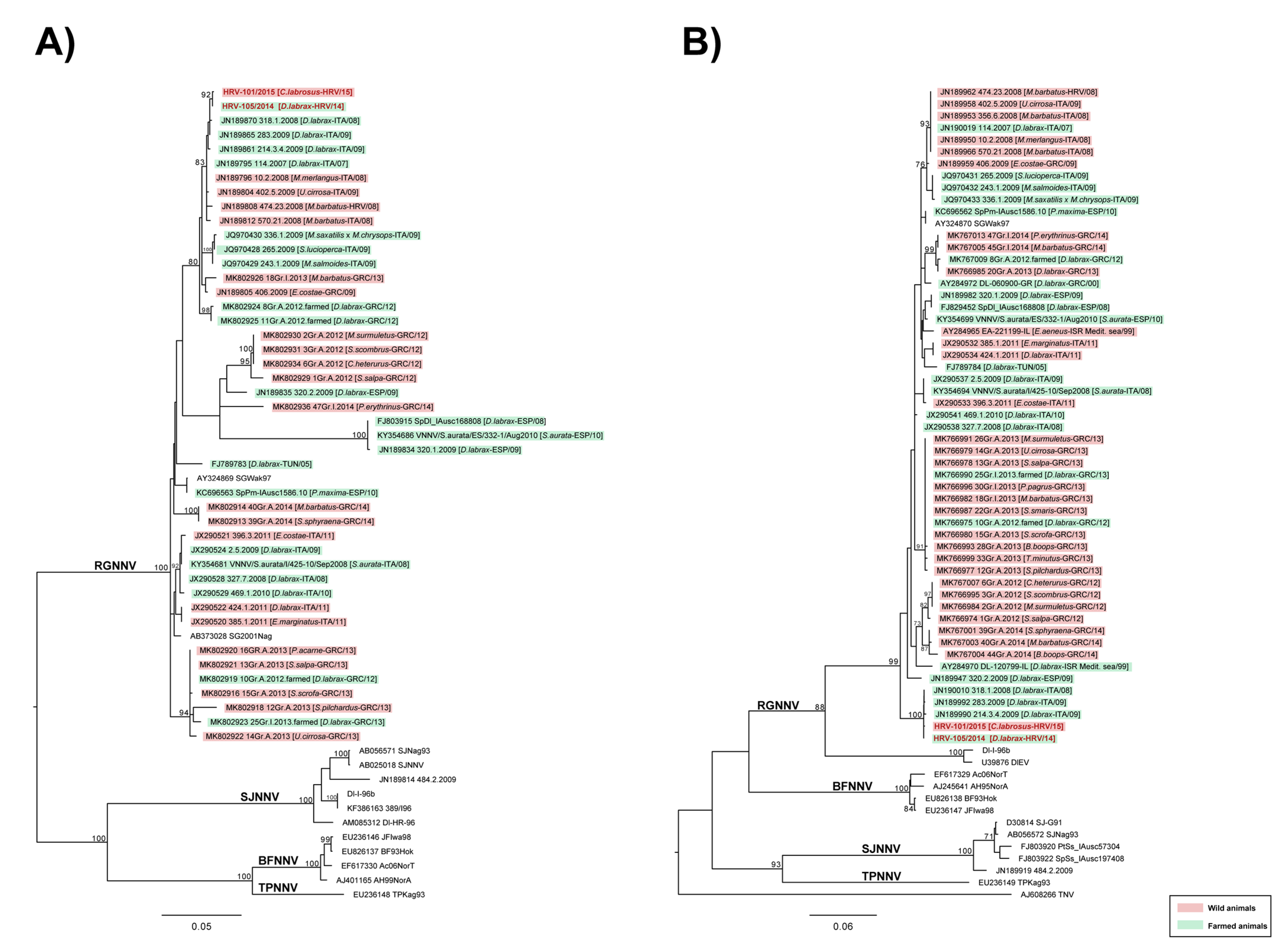 Pathogens 11 00418 g005