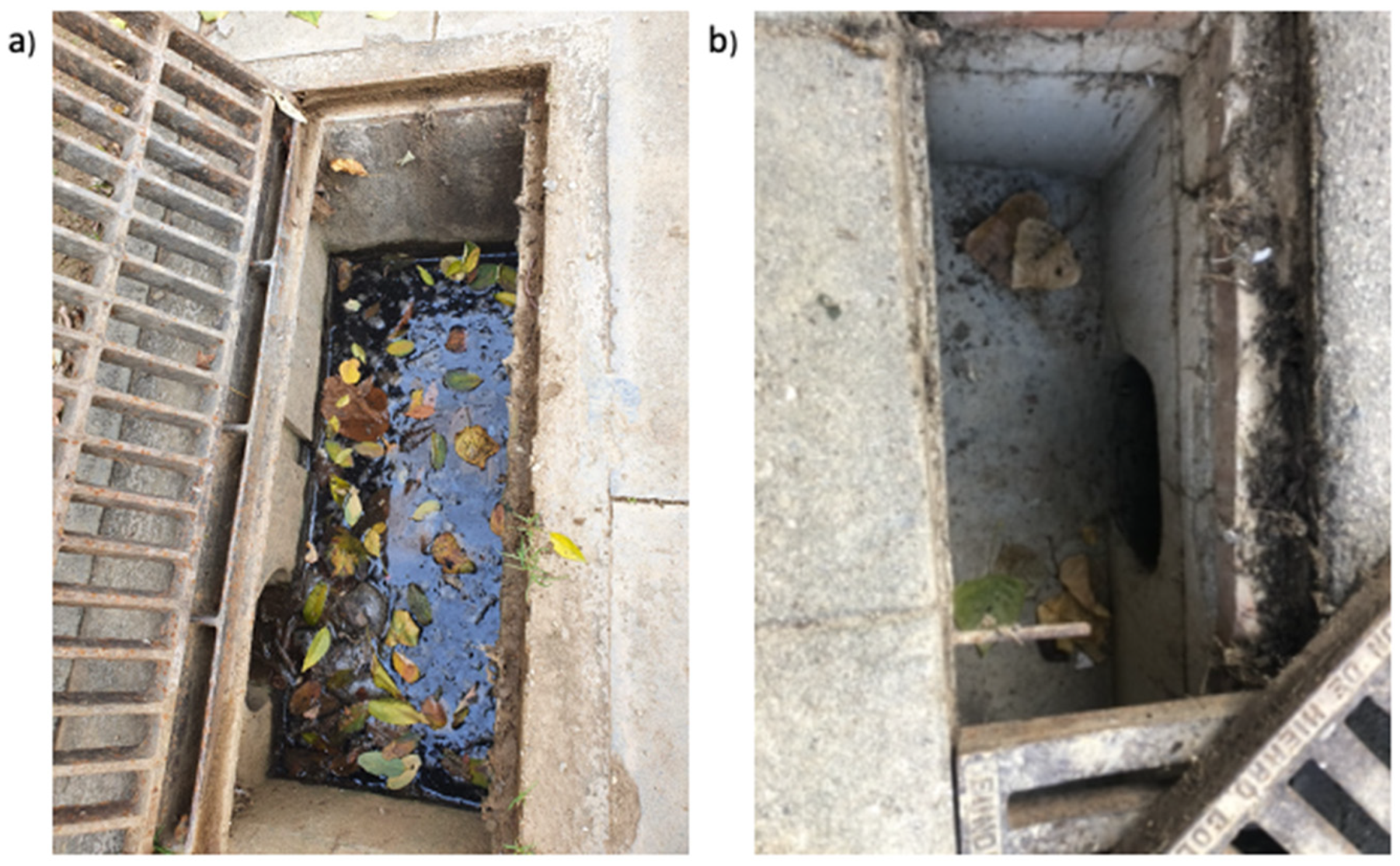 Pathogens 11 00423 g002