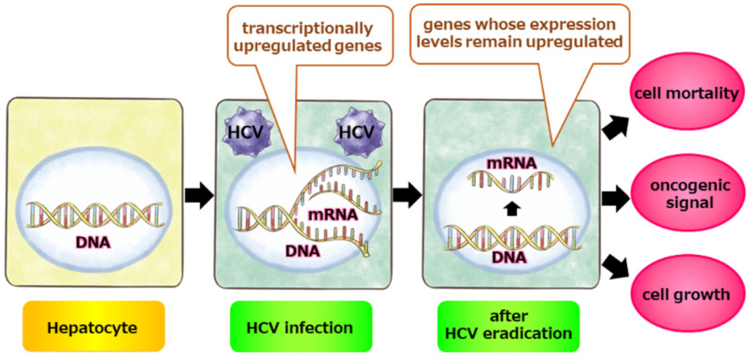 Pathogens 11 00430 g002