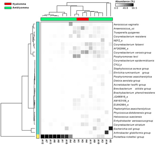Pathogens 11 00432 g0a3 550