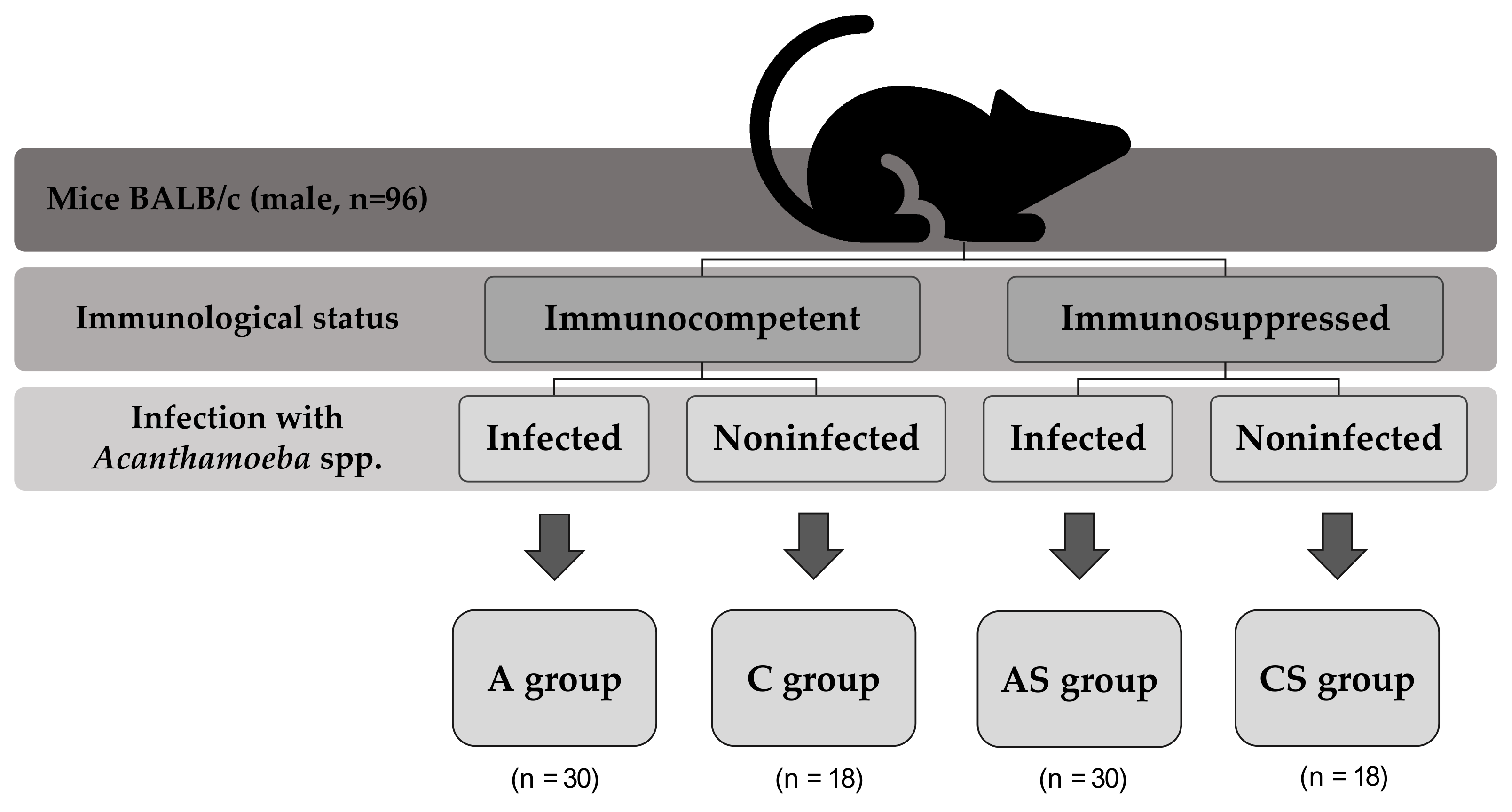 Pathogens 11 00438 g003 Pathogens 11 00438 g003