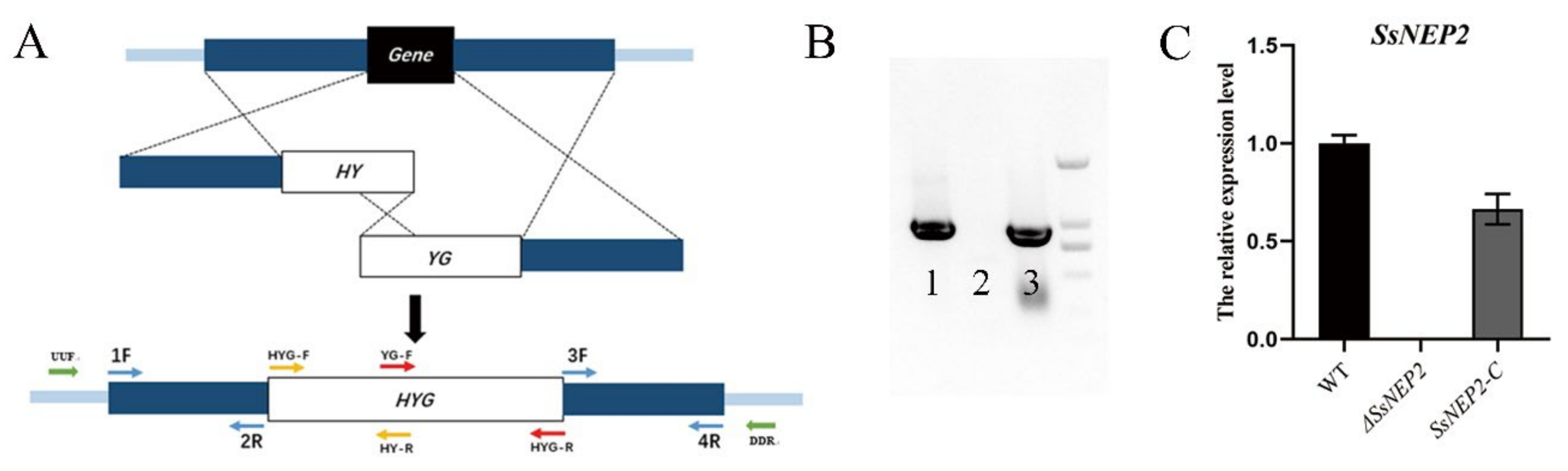 Pathogens 11 00446 g001