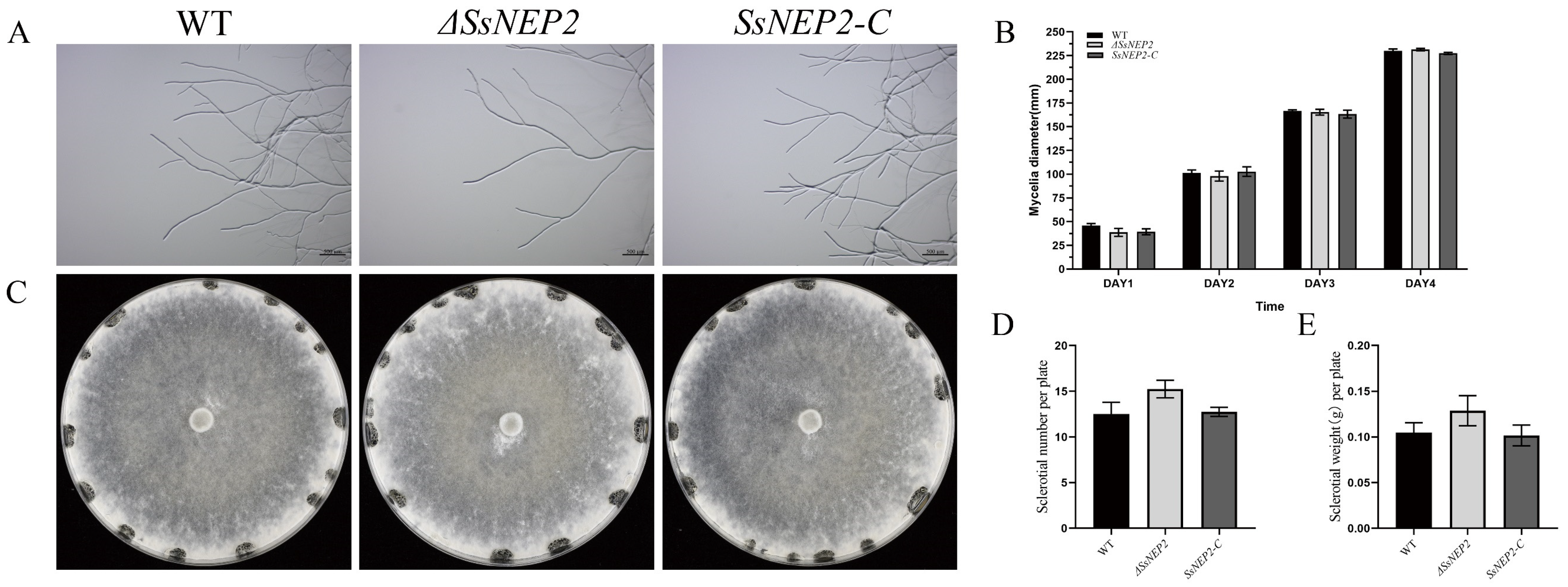 Pathogens 11 00446 g002