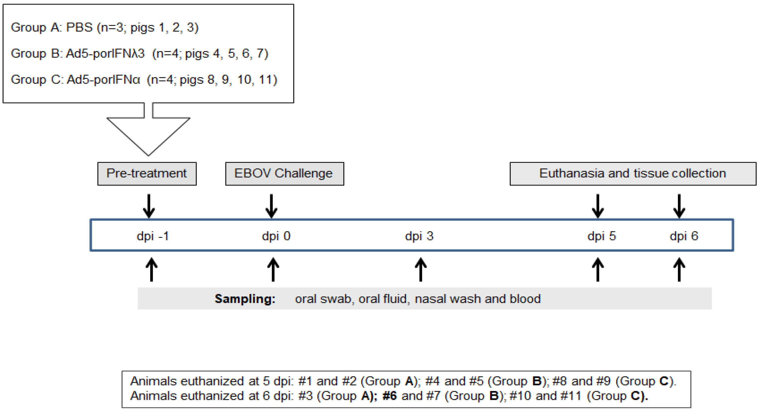 Pathogens 11 00449 g001