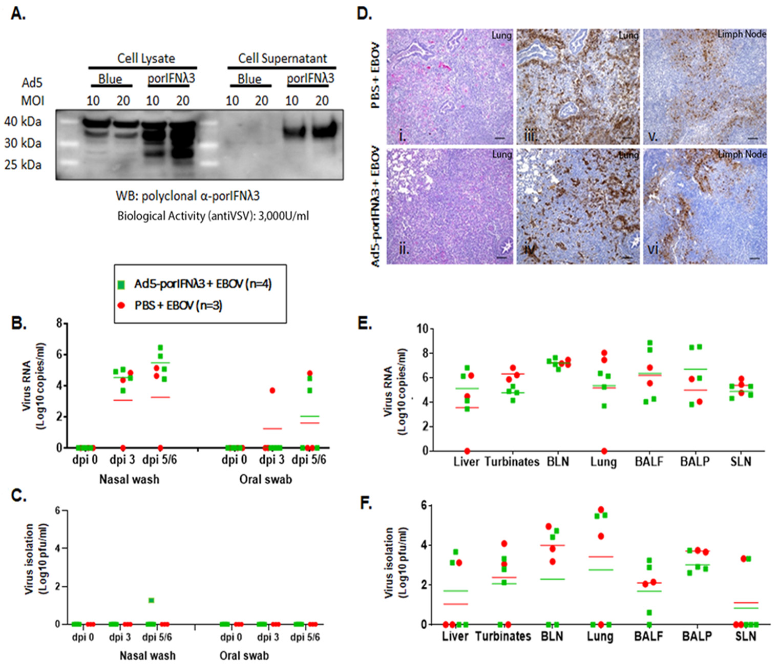 Pathogens 11 00449 g002