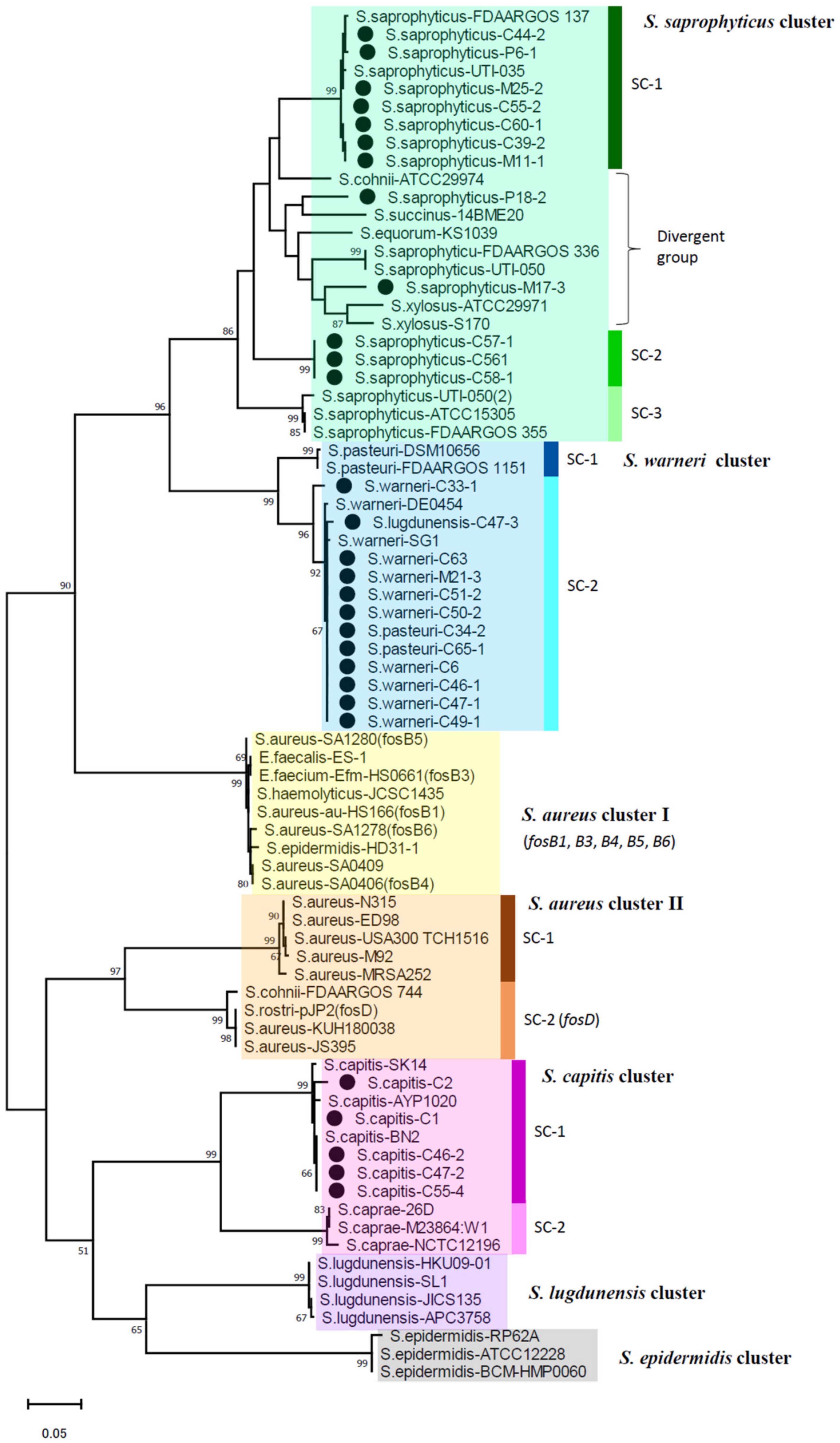 Pathogens 11 00469 g001
