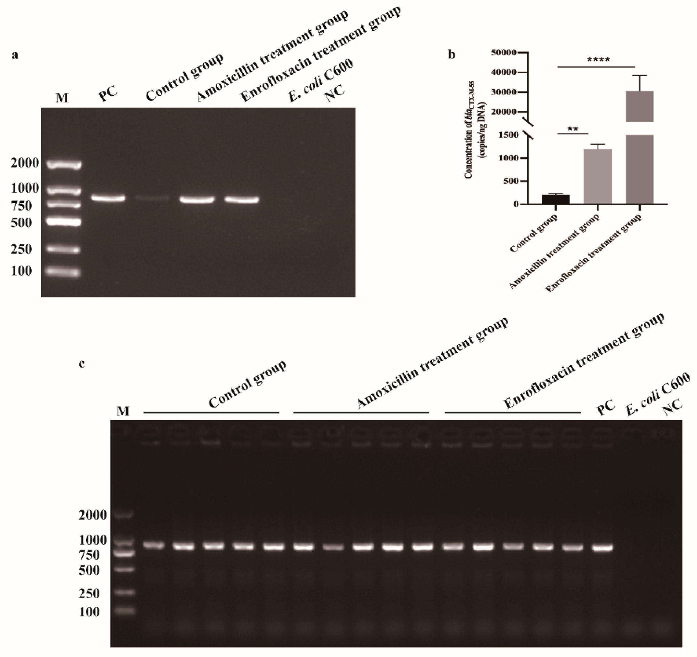 Pathogens 11 00481 g004