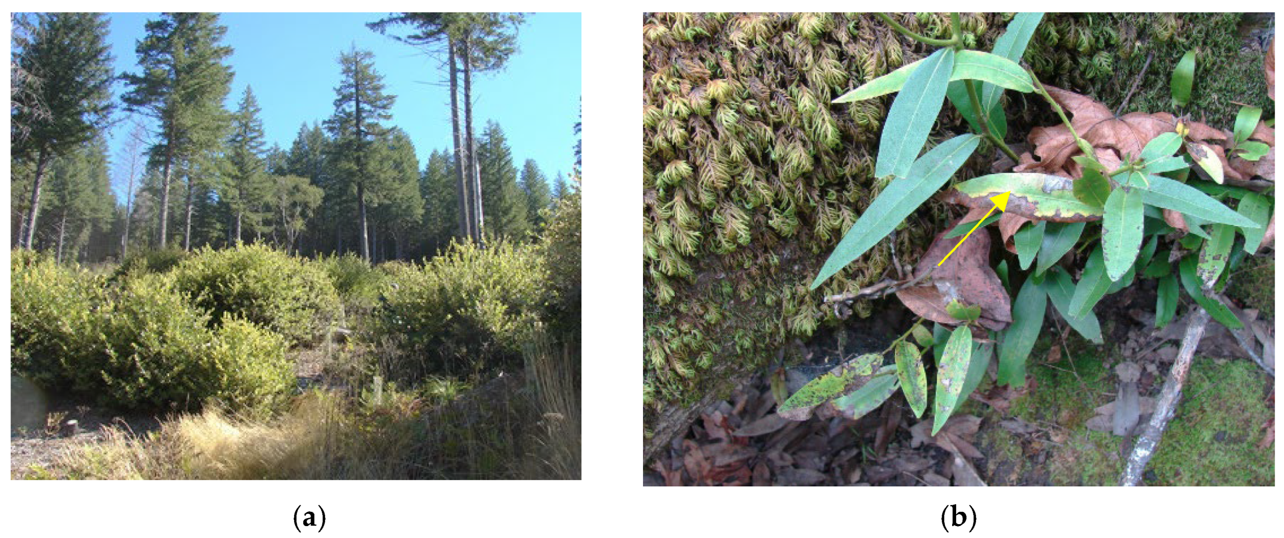 Pathogens 11 00485 g001