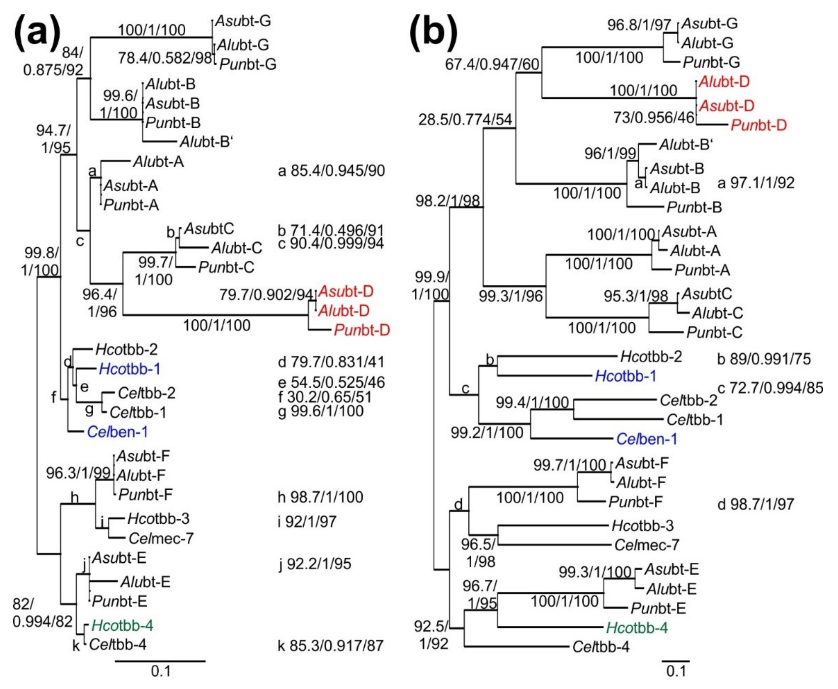 Pathogens 11 00490 g001