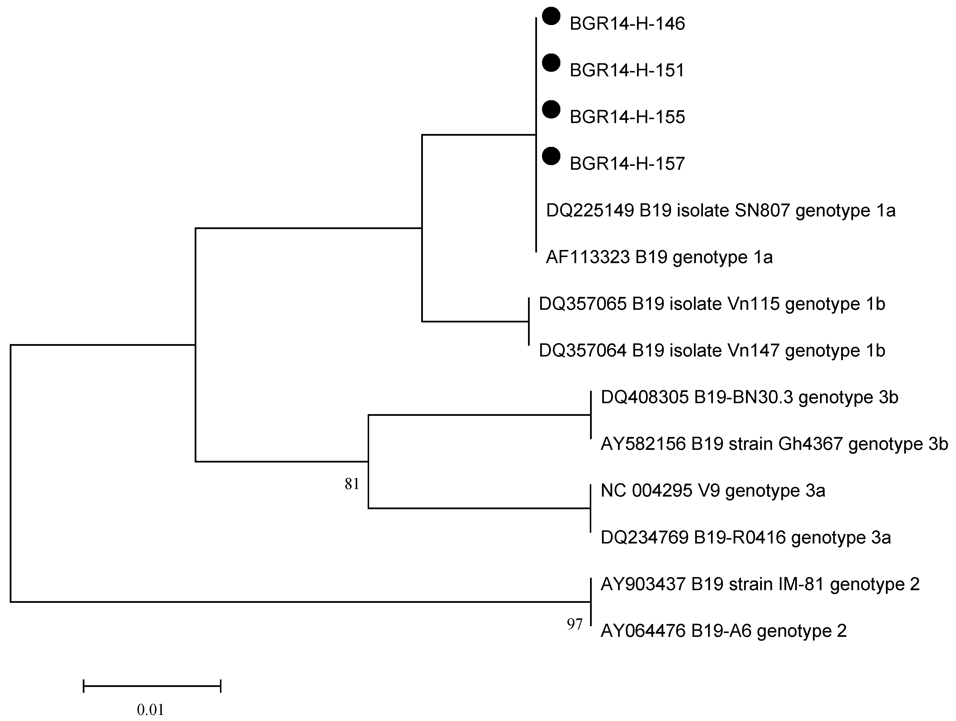 Pathogens 11 00497 g001