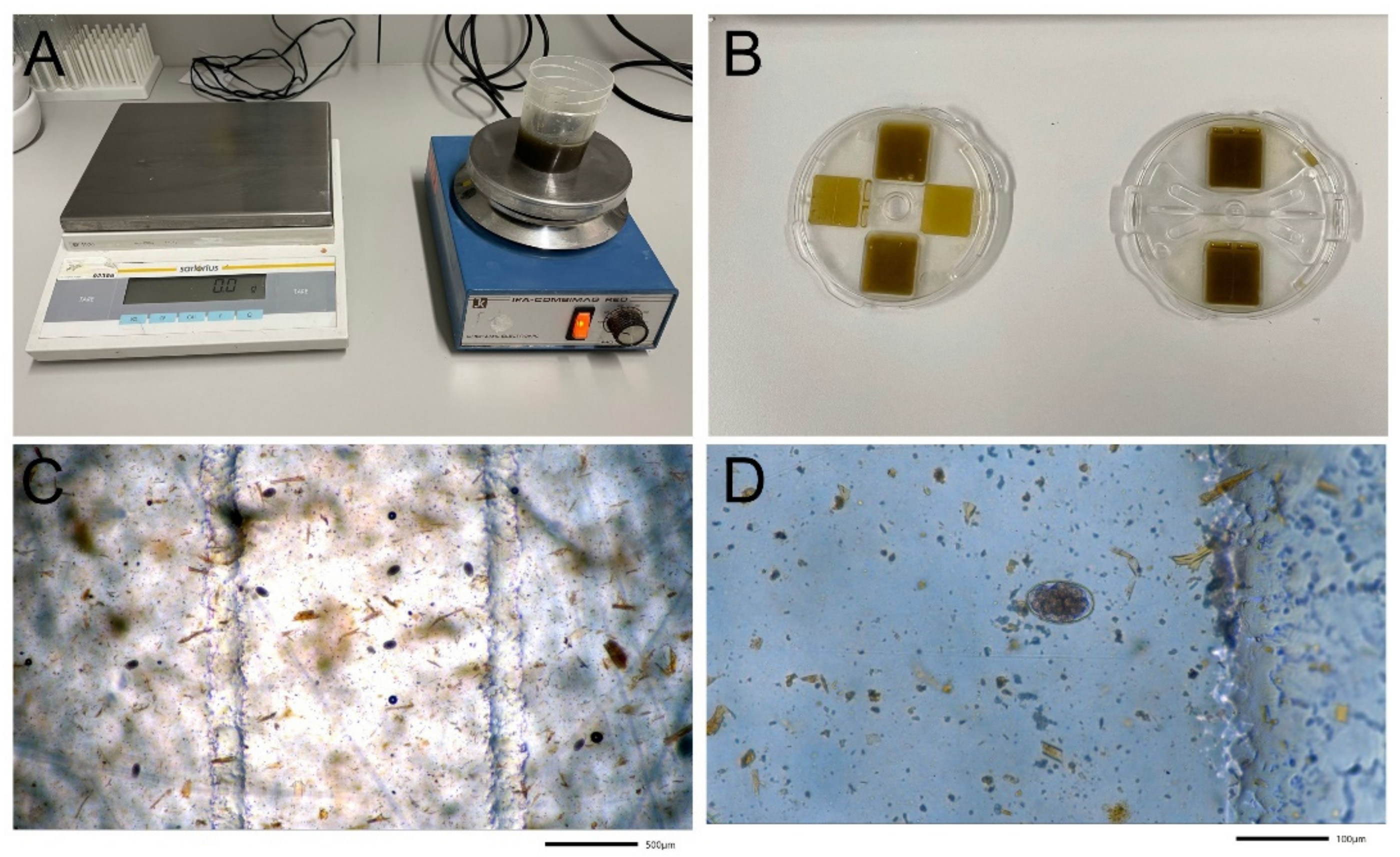 Pathogens 11 00498 g003 Pathogens 11 00498 g003