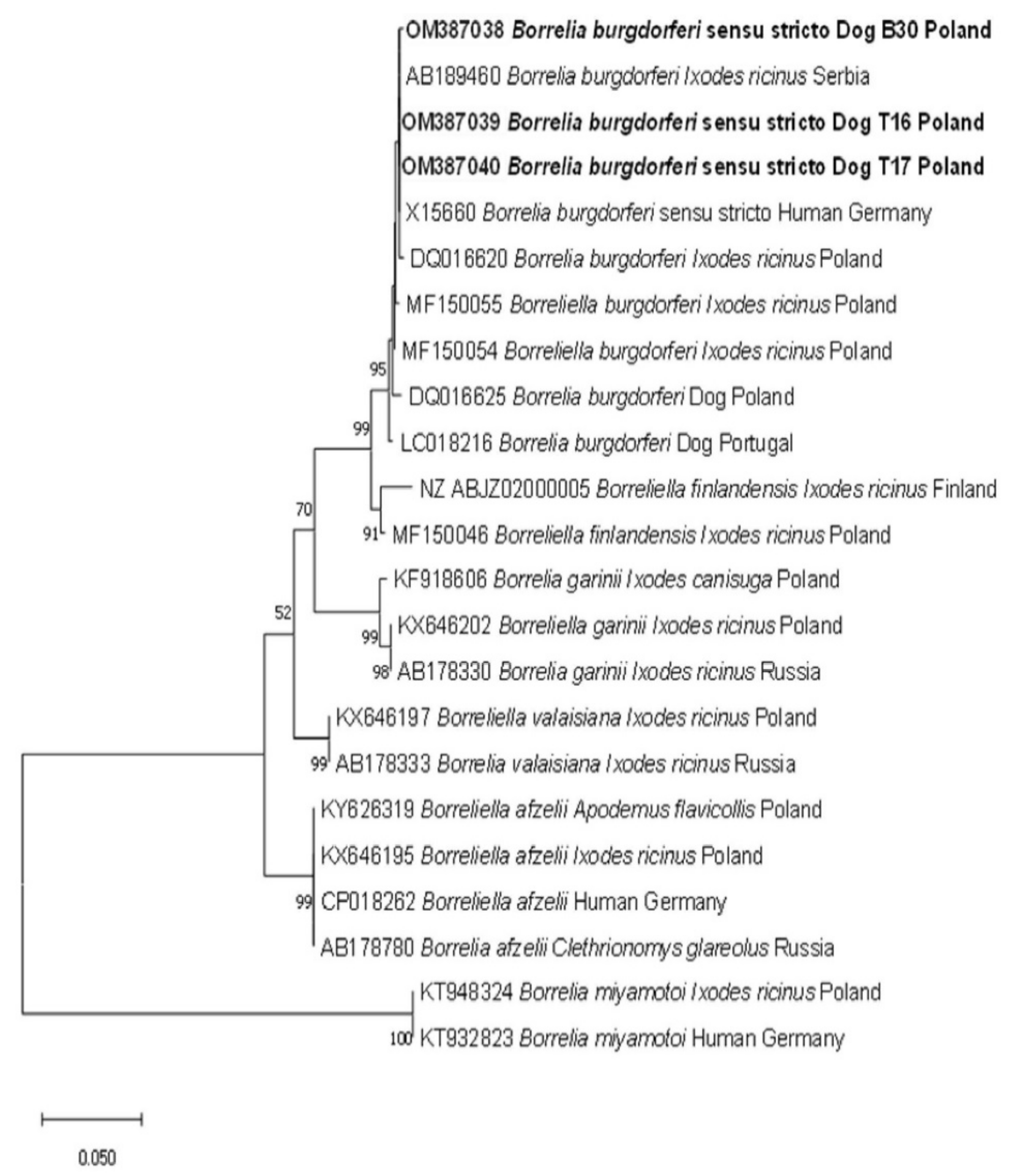 Pathogens 11 00499 g001