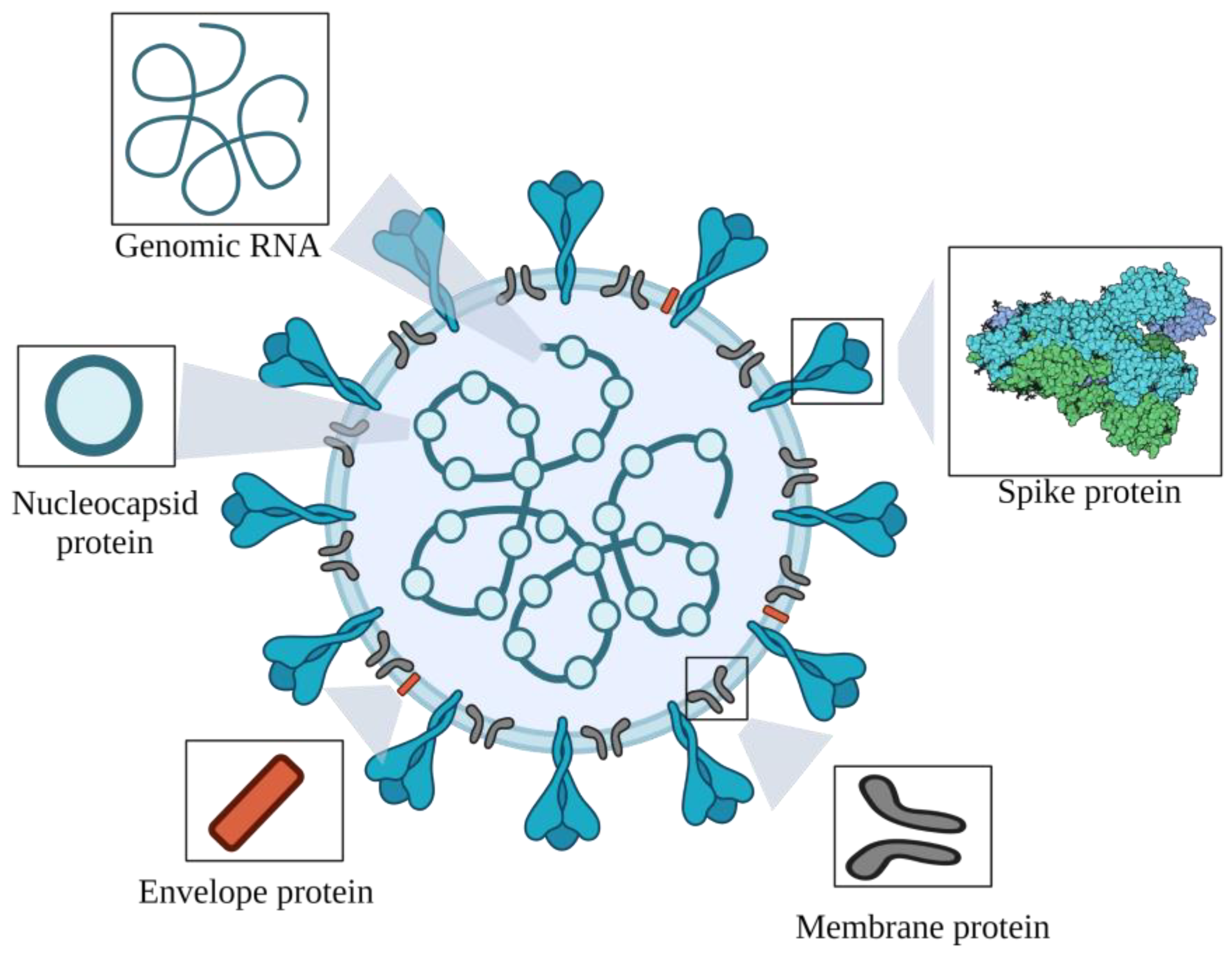 Pathogens 11 00516 g001