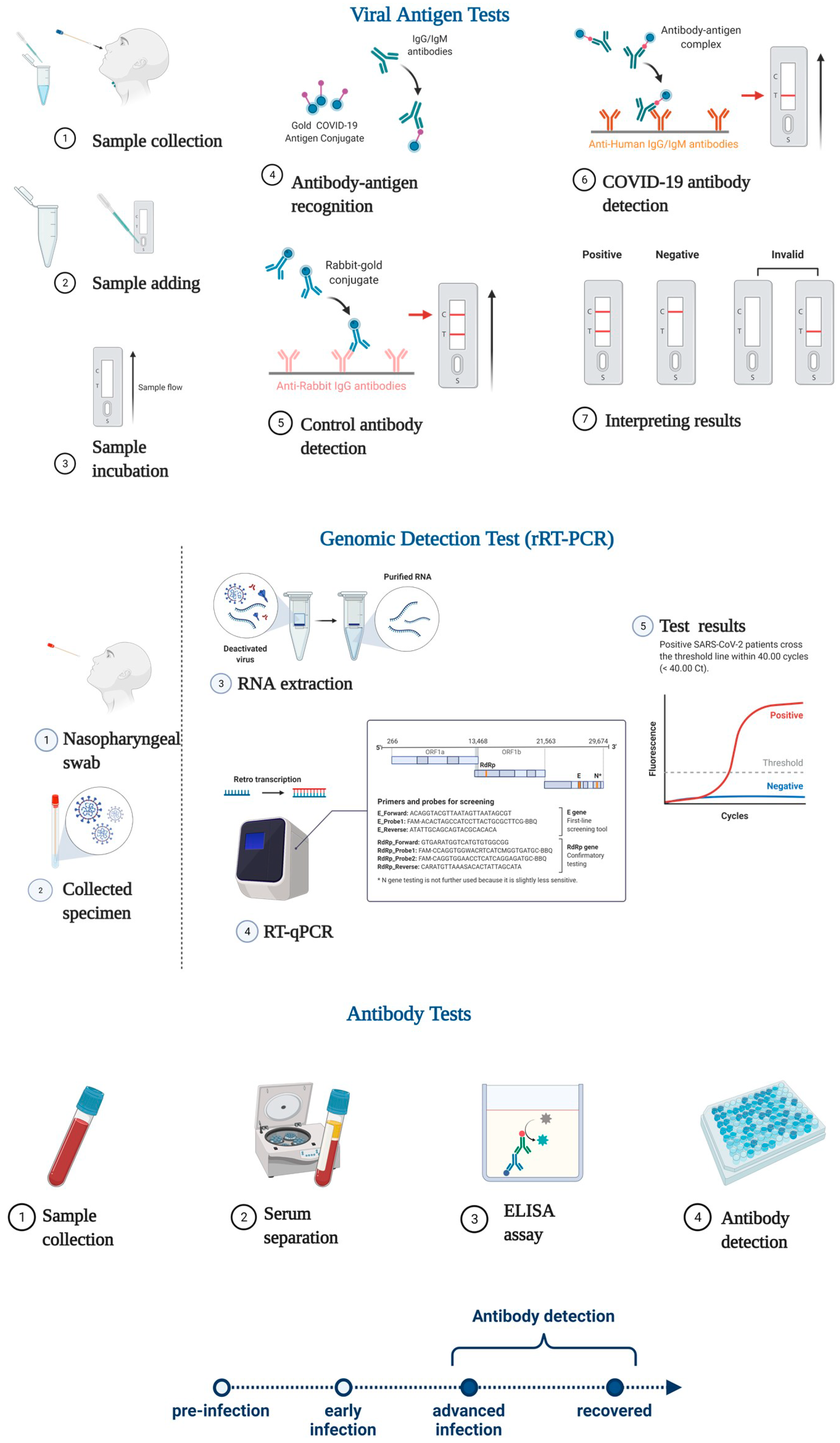 Pathogens 11 00516 g006