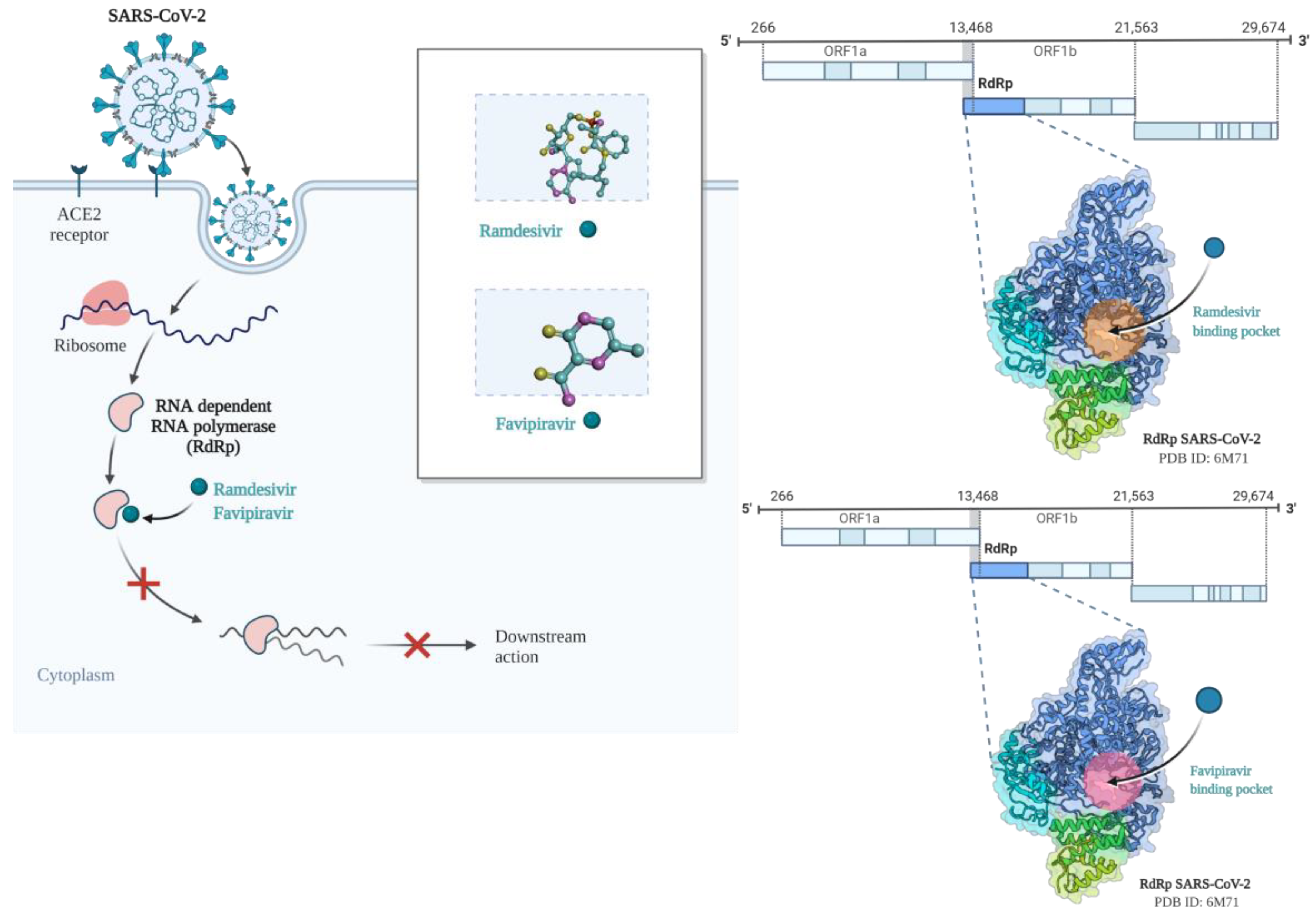 Pathogens 11 00516 g007