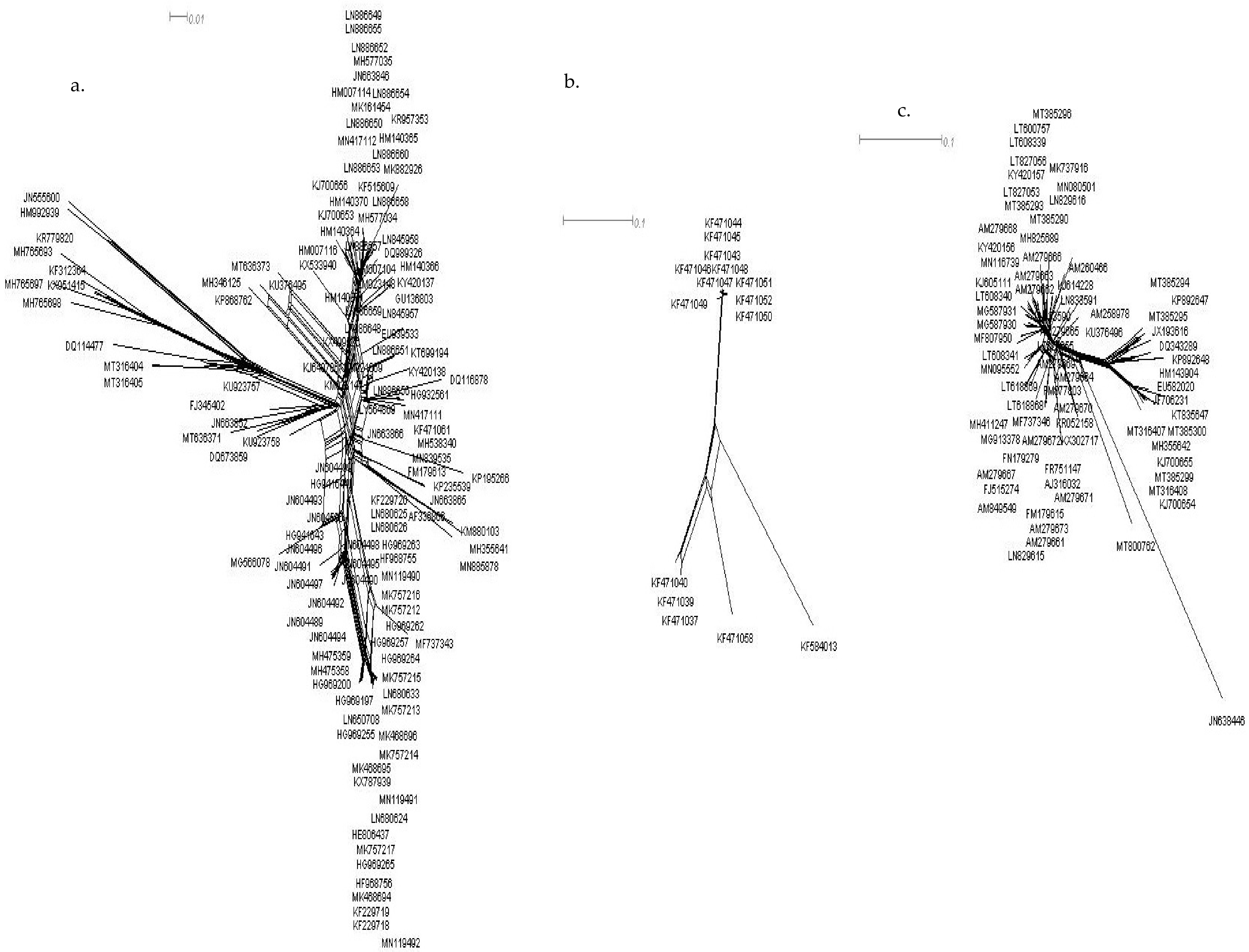 Pathogens 11 00529 g002