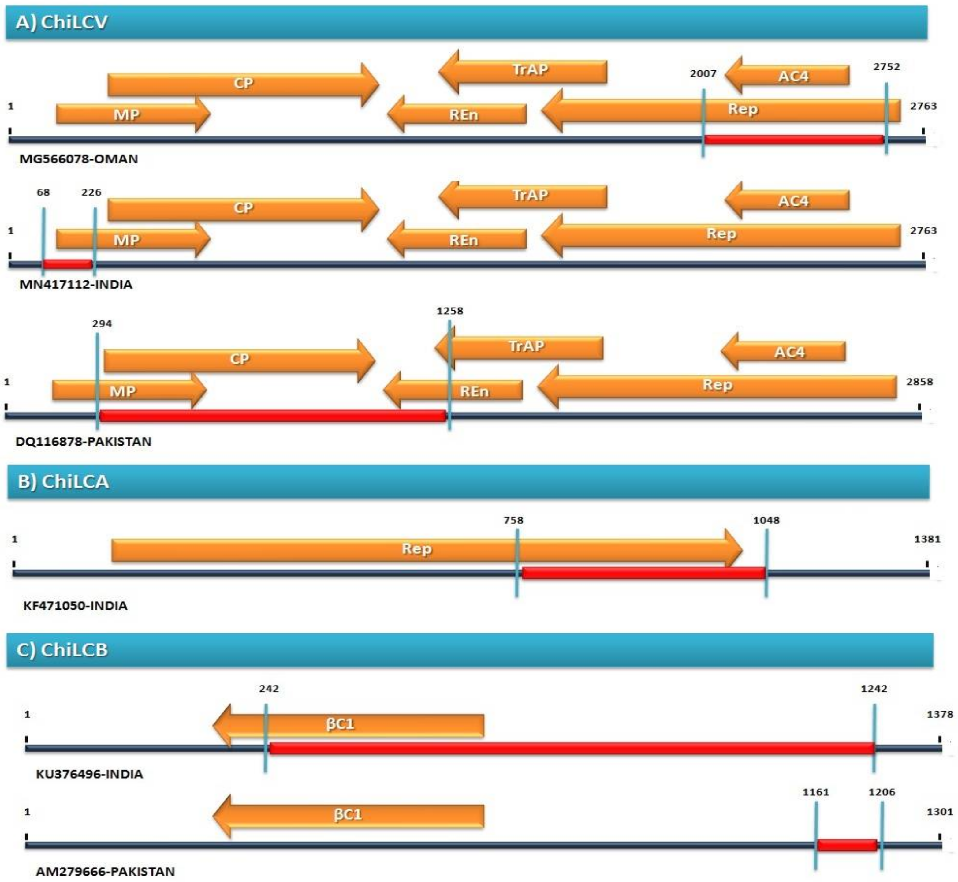 Pathogens 11 00529 g003